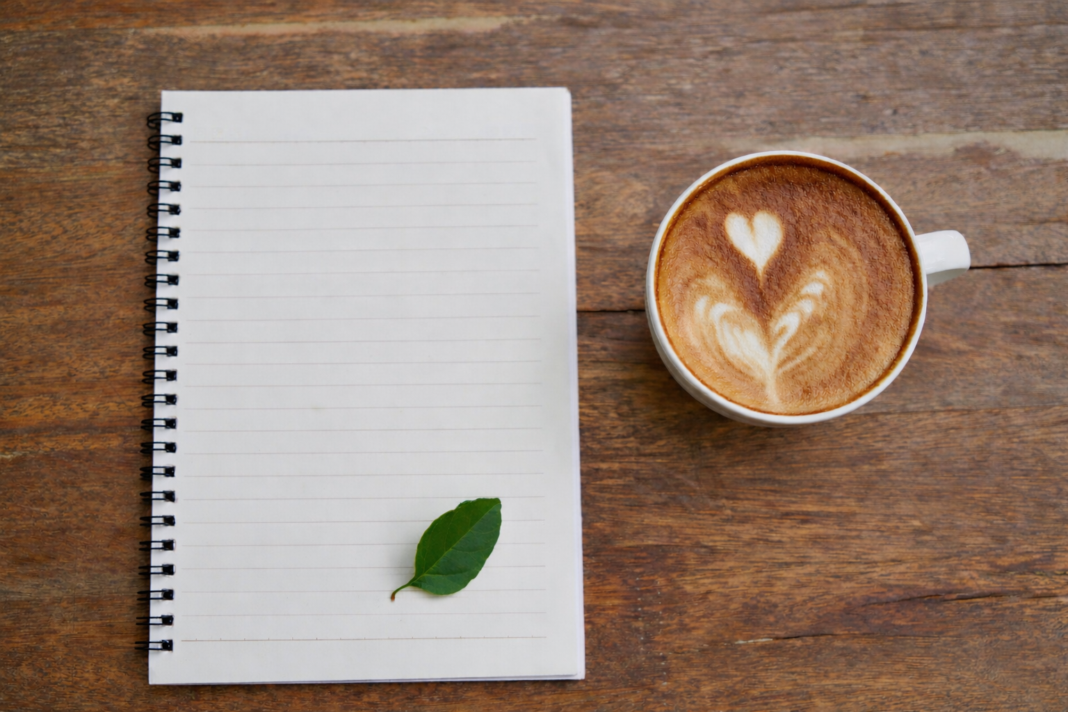 ChatGPT Image Jan 19, 2026 at 07_45_48 PM.png