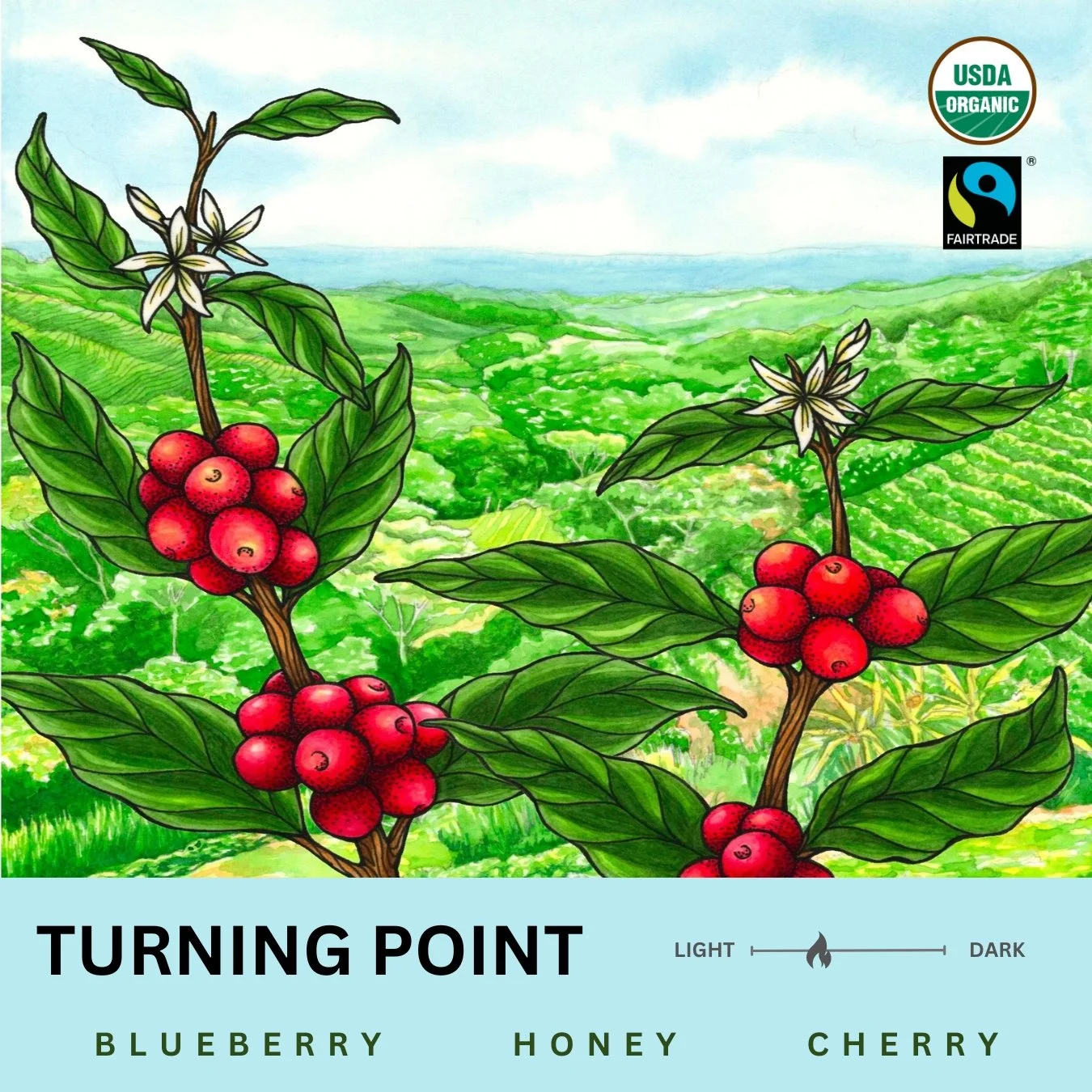 67be3ab8f6f310b533476085_TURNING POINT2.jpg