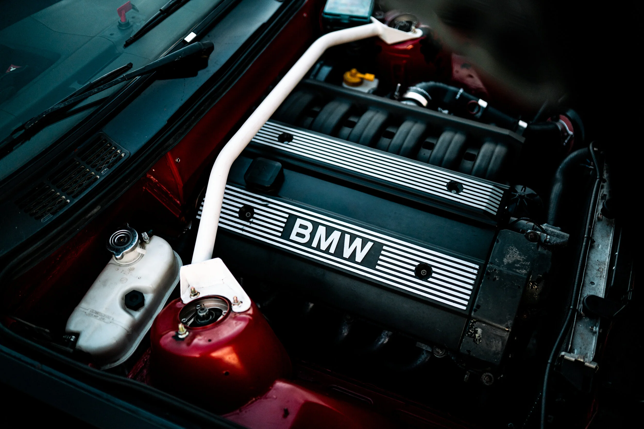 Busch_E30_54.jpg