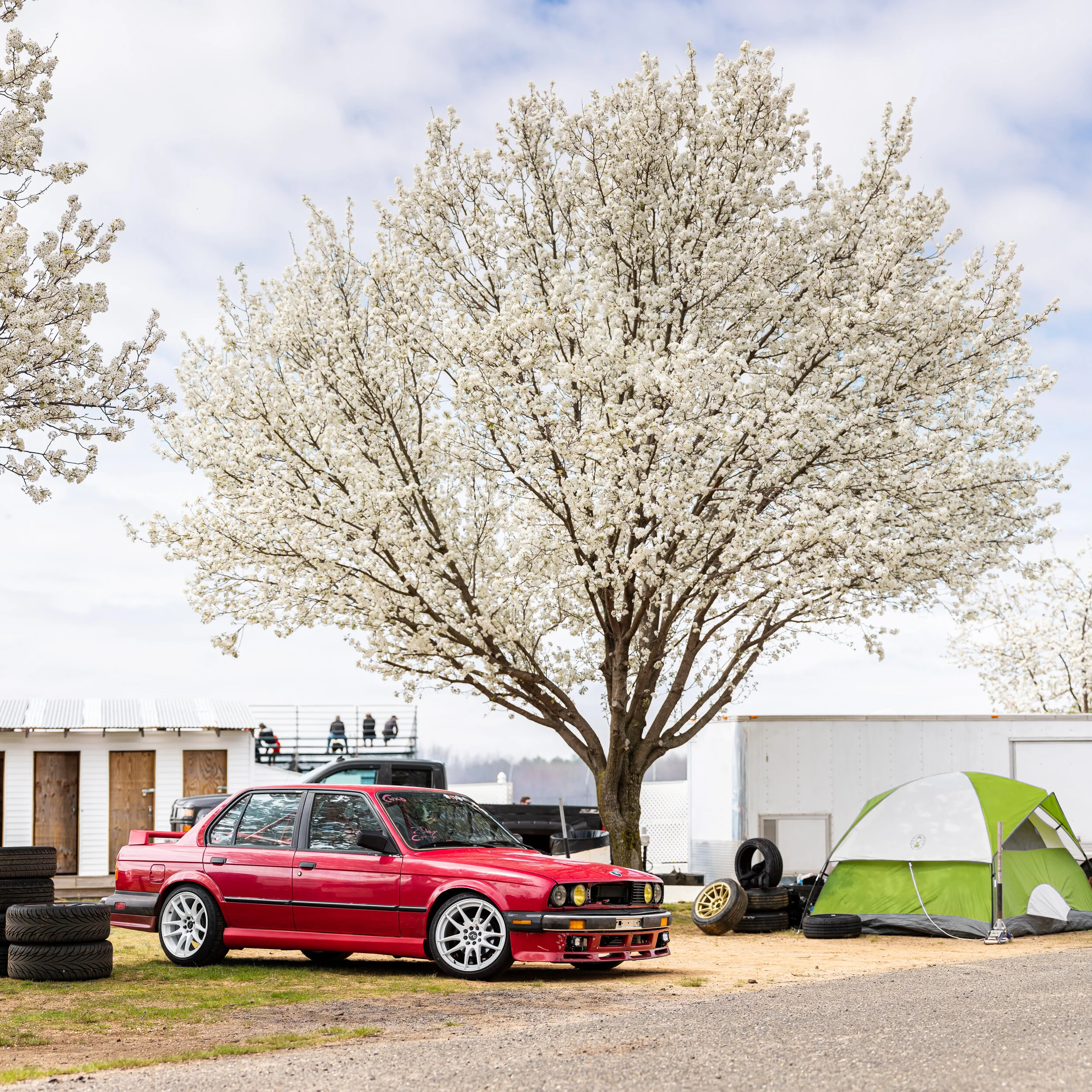 CL_SpringMoves_2021-0010.jpg