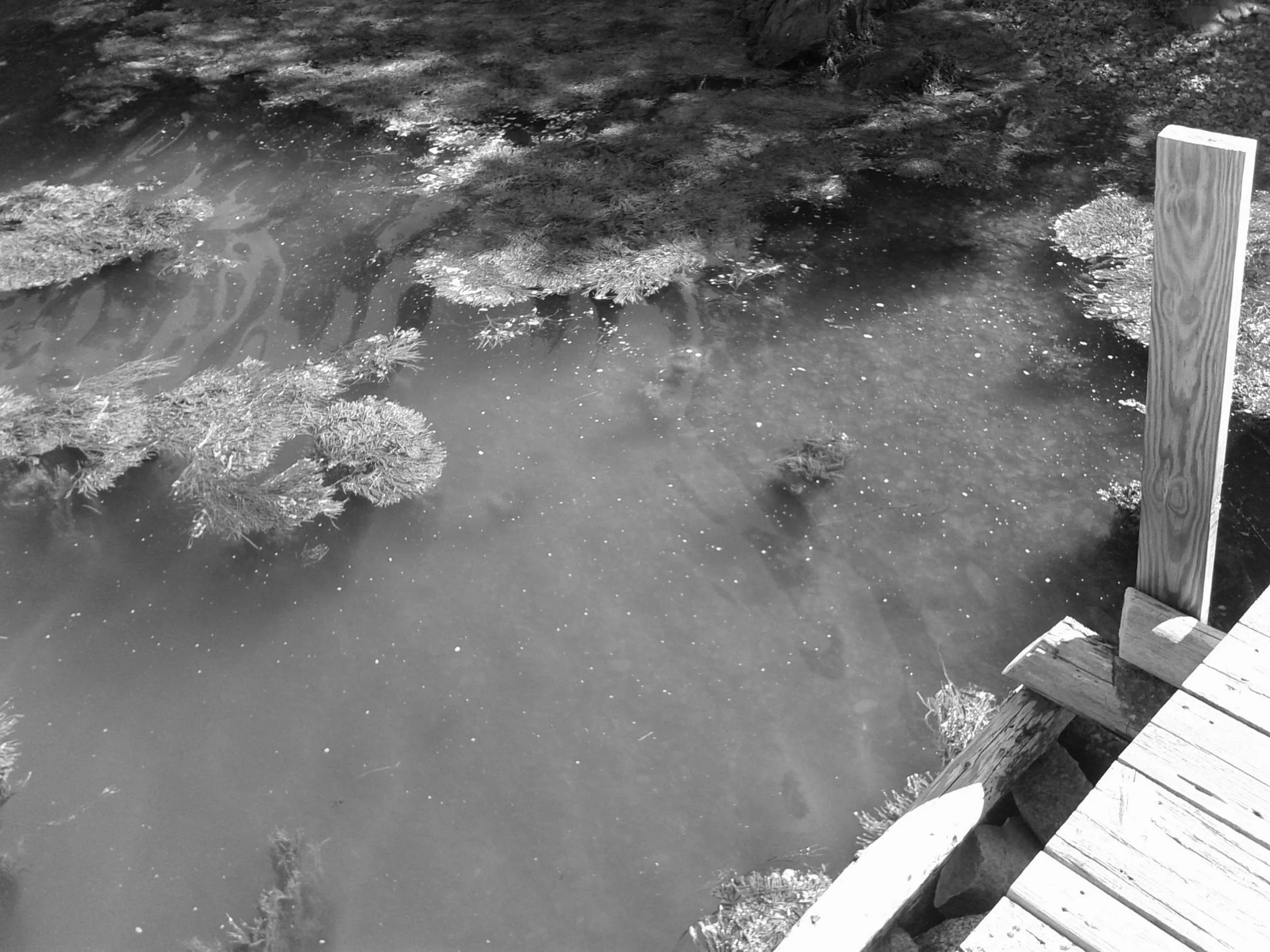 Maine_2022_00038.JPG