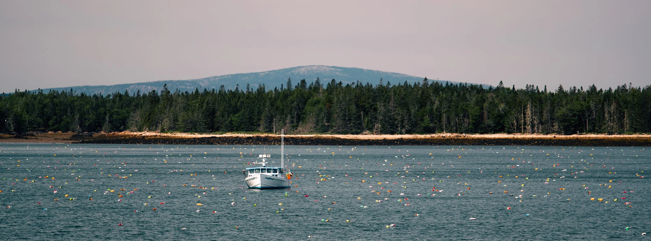 Maine_2022_00074.jpg