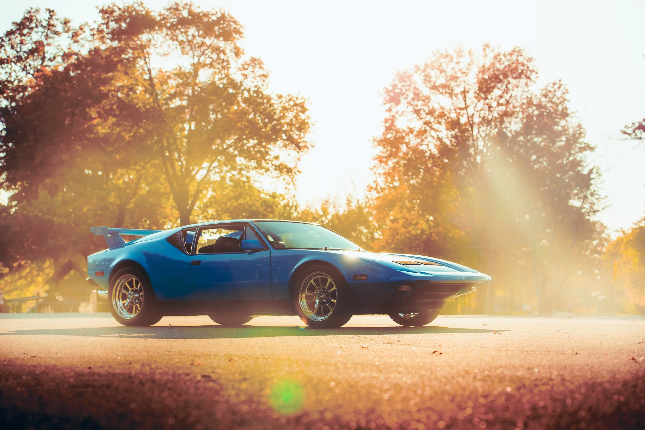 Rays_Pantera-0002.jpg
