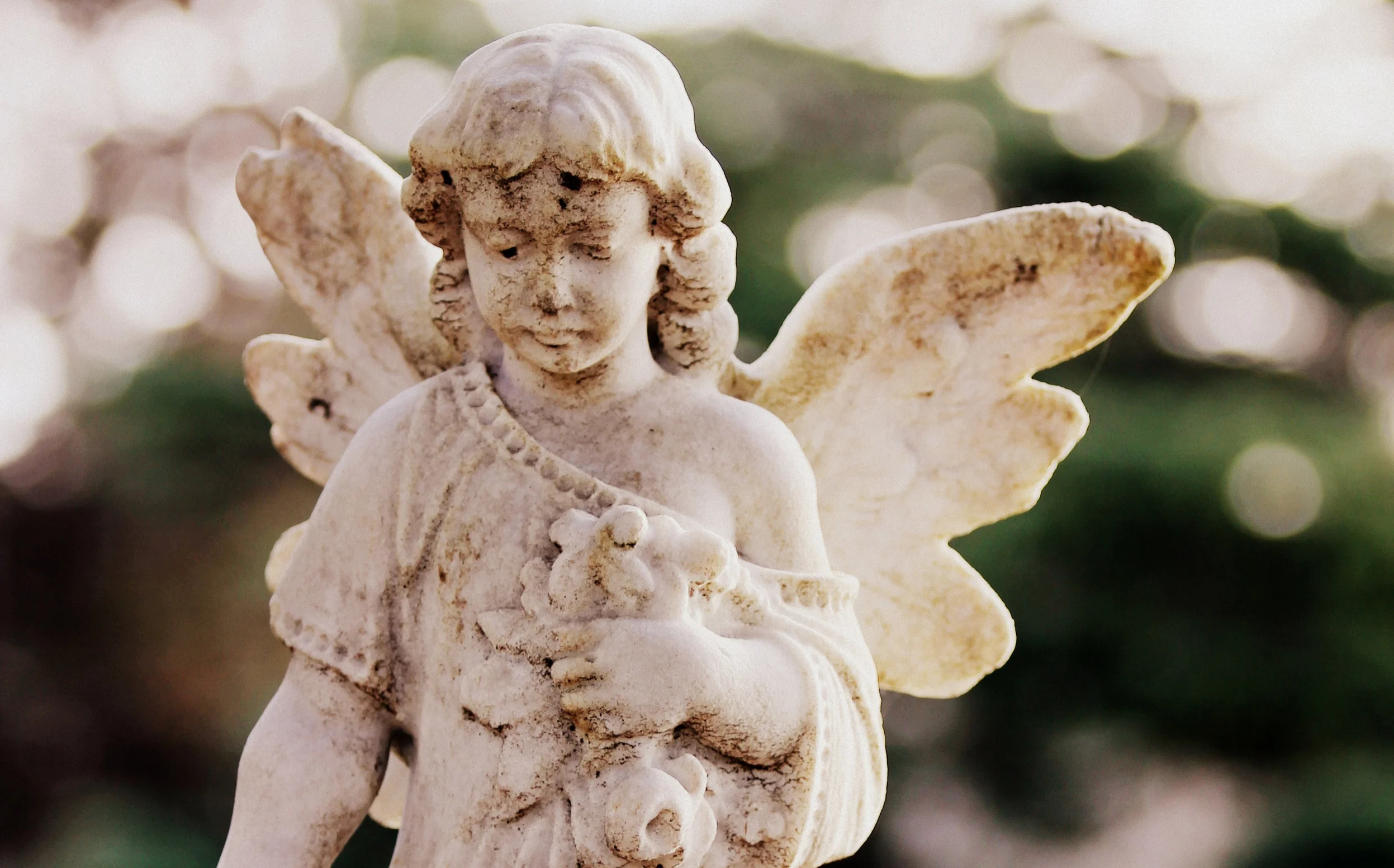 Become an Angel Advocate