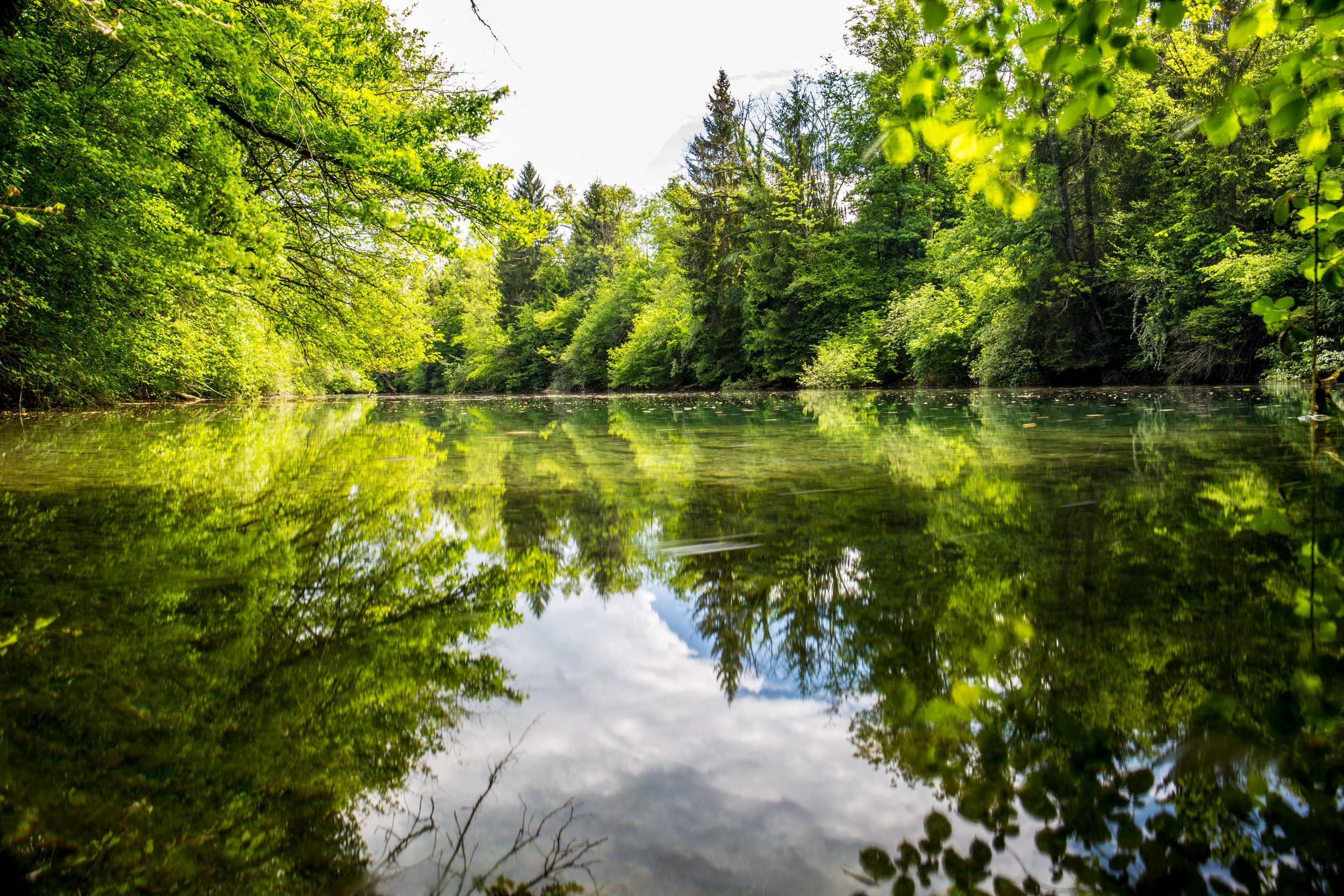 Walden, by Henry David Thoreau