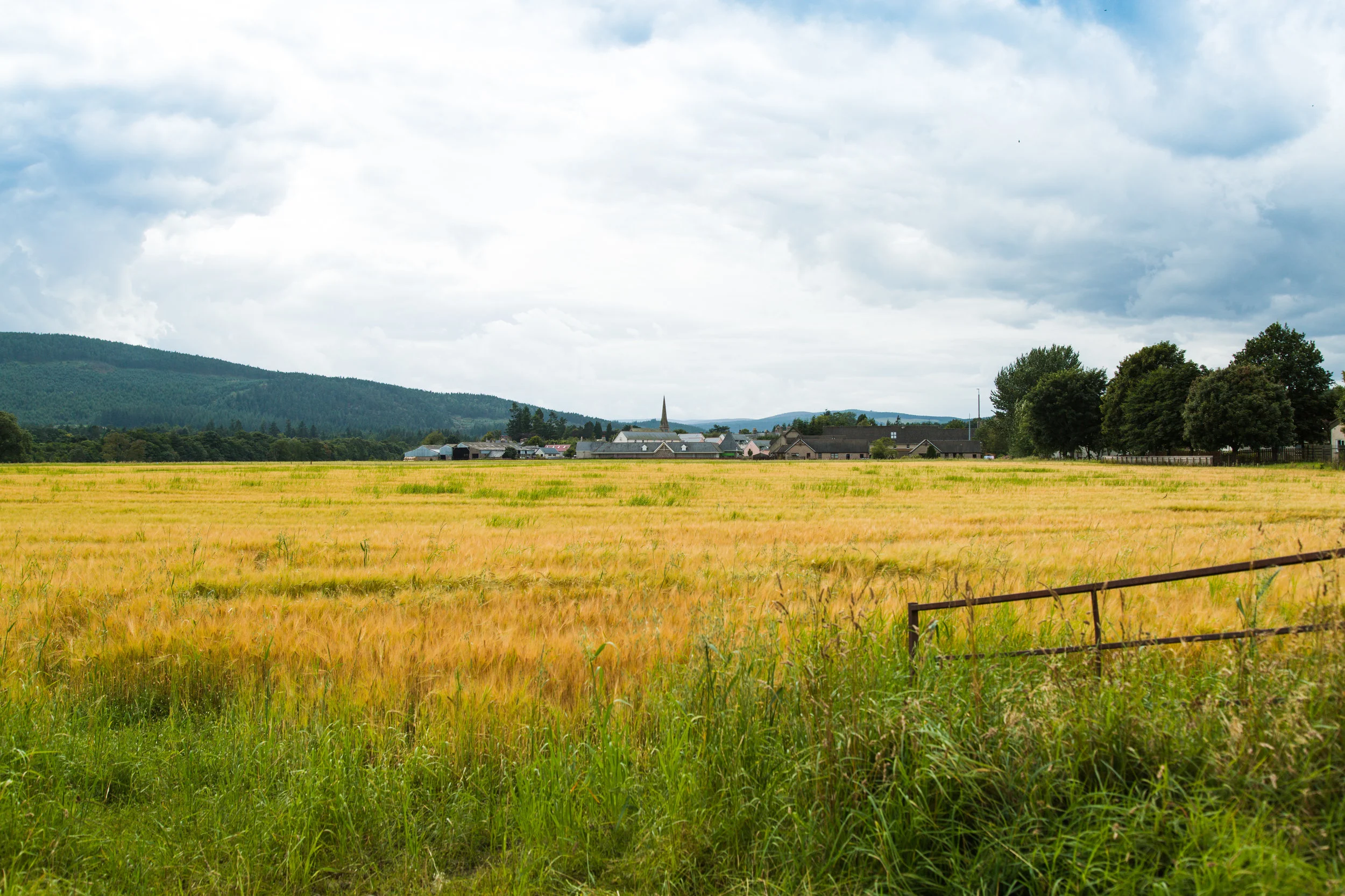 The trail from Aboyne to the new house!
