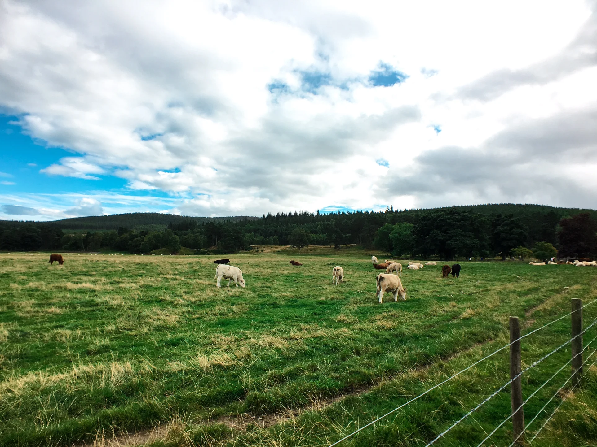 En route to Glen Tanar with the Priest's