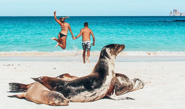 🥤NO PLASTIC🥤
Visiting Gal&aacute;pagos Islands has reinforced the importance of looking after our planet and protecting our wildlife. Trent and I have been taking part in @plasticfreejuly this month (thanks for making us aware @skipvp 🥳) and our m