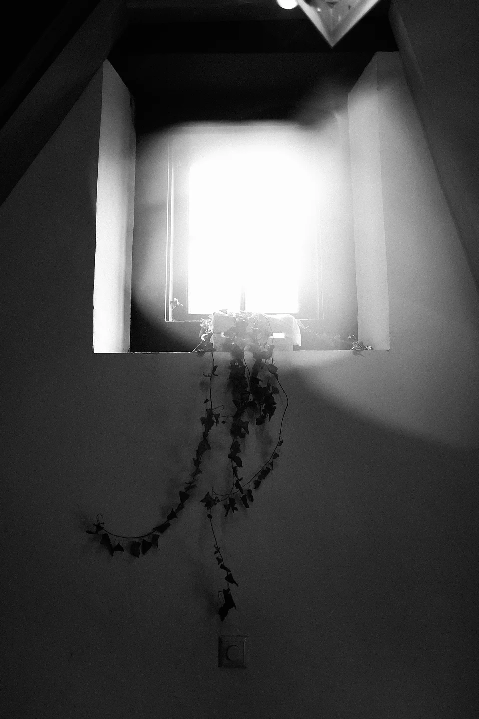 015_SMALL.jpg