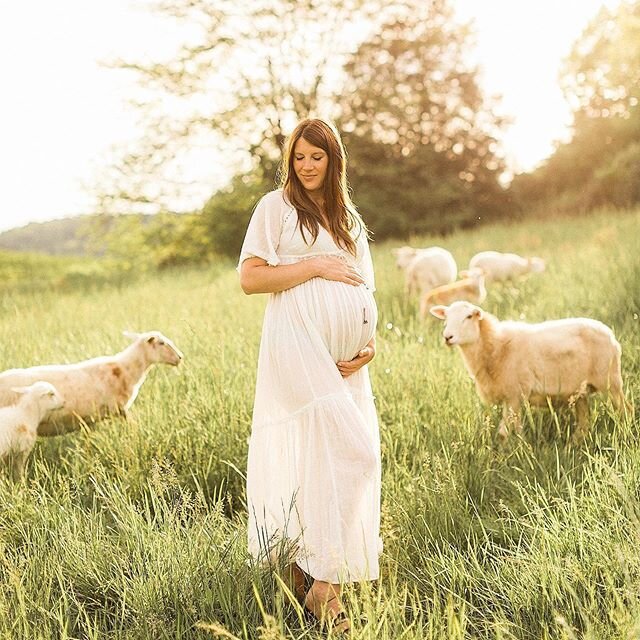 Christie, 40 weeks and glowing. Fields of clover and baby lambs are giving me alllll the feels! Sharing more from this gorgeous bump session on the blog today (link in stories 💕)