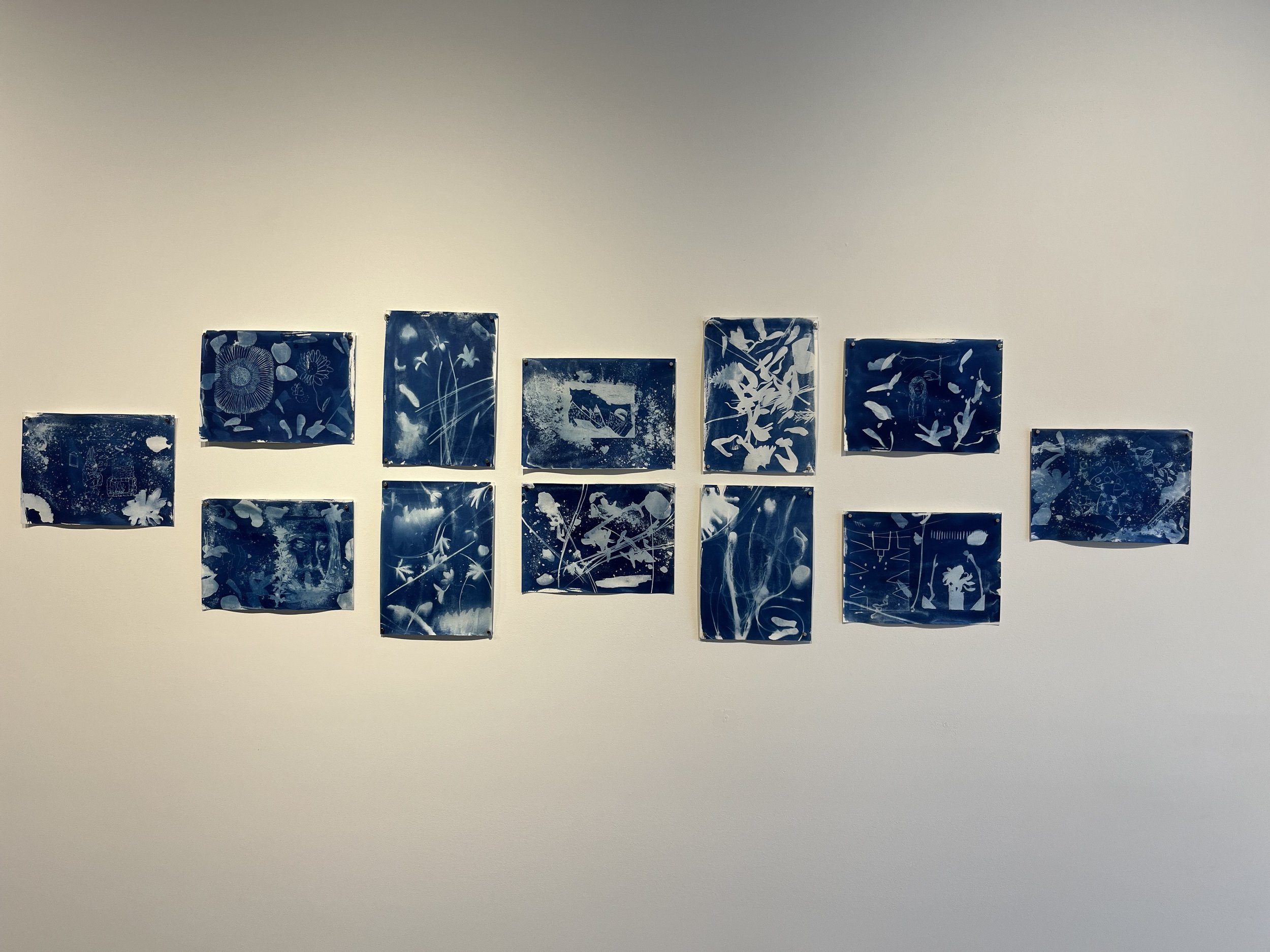 Cyanotype Collages