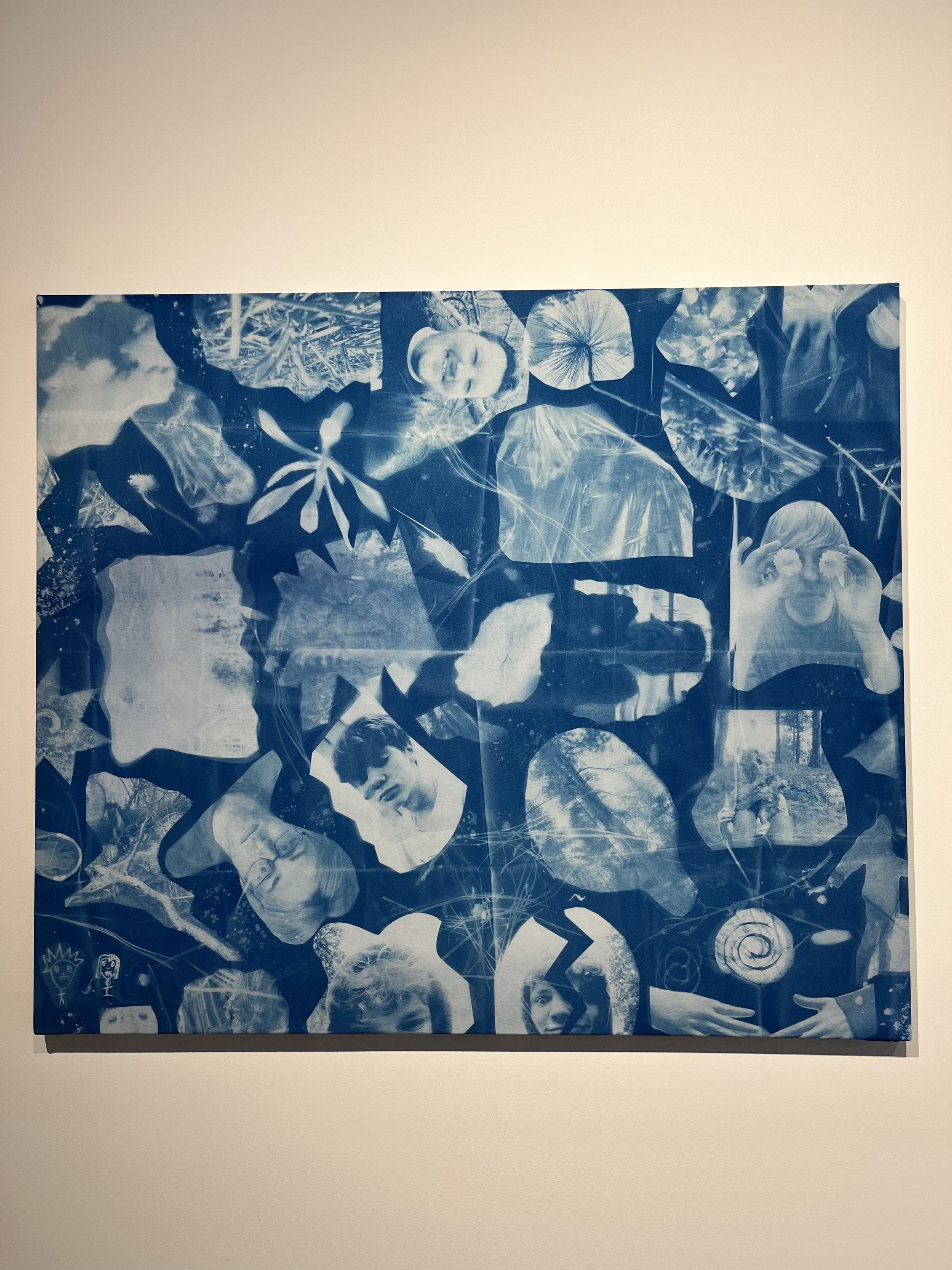 Cyanotype Collages