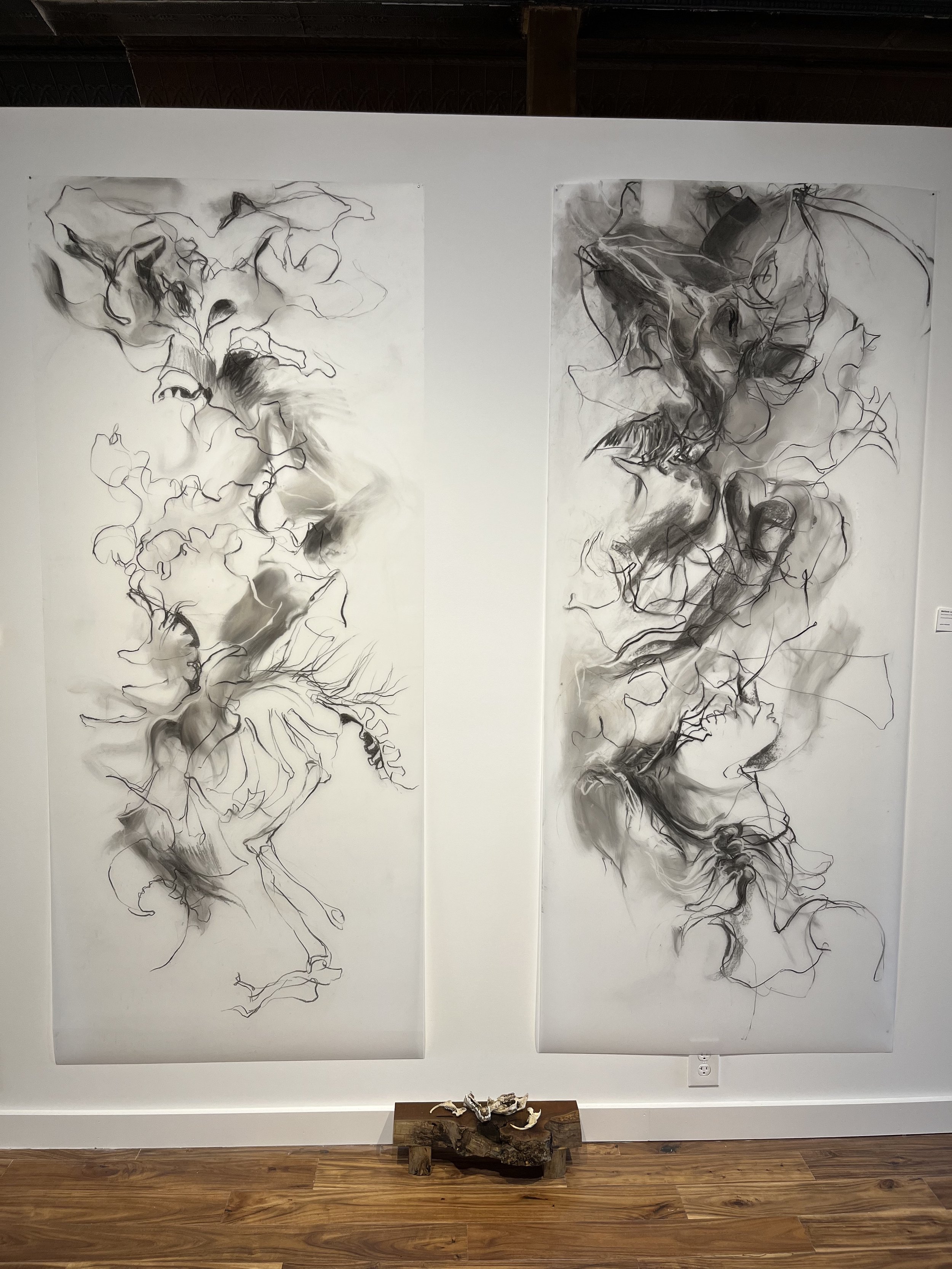  Artist: Melissa Lang  Title: “The Porcupine Ate Her Bed” (Drawing on the left)  	Medium: Charcoal/mylar  	Size: 84 x 36"  	Year: 2022  Price: upon request  Artist: Melissa Lang  Title: Bats Dream of Butterflies (Drawing on the right)  	Medium: Charc