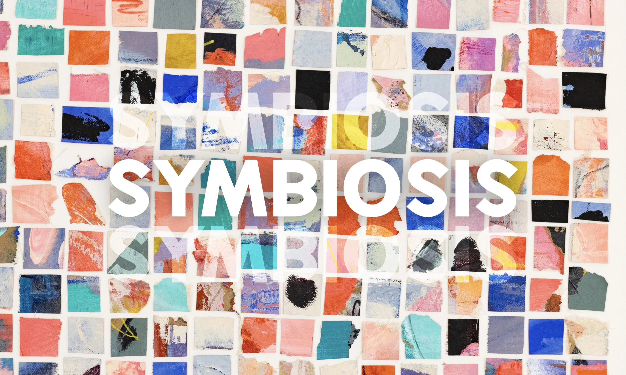 Symbiosis |  Lauren Adams, Tricia Kleinot, Joanna Shippam | Jan 2nd - Jan 31st