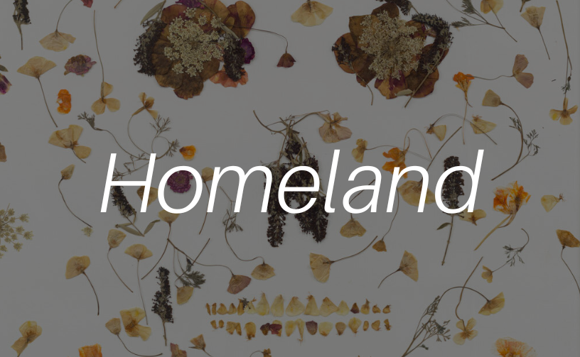 Homeland | Charlie-Anne Hopkins | May 1st - May 30th