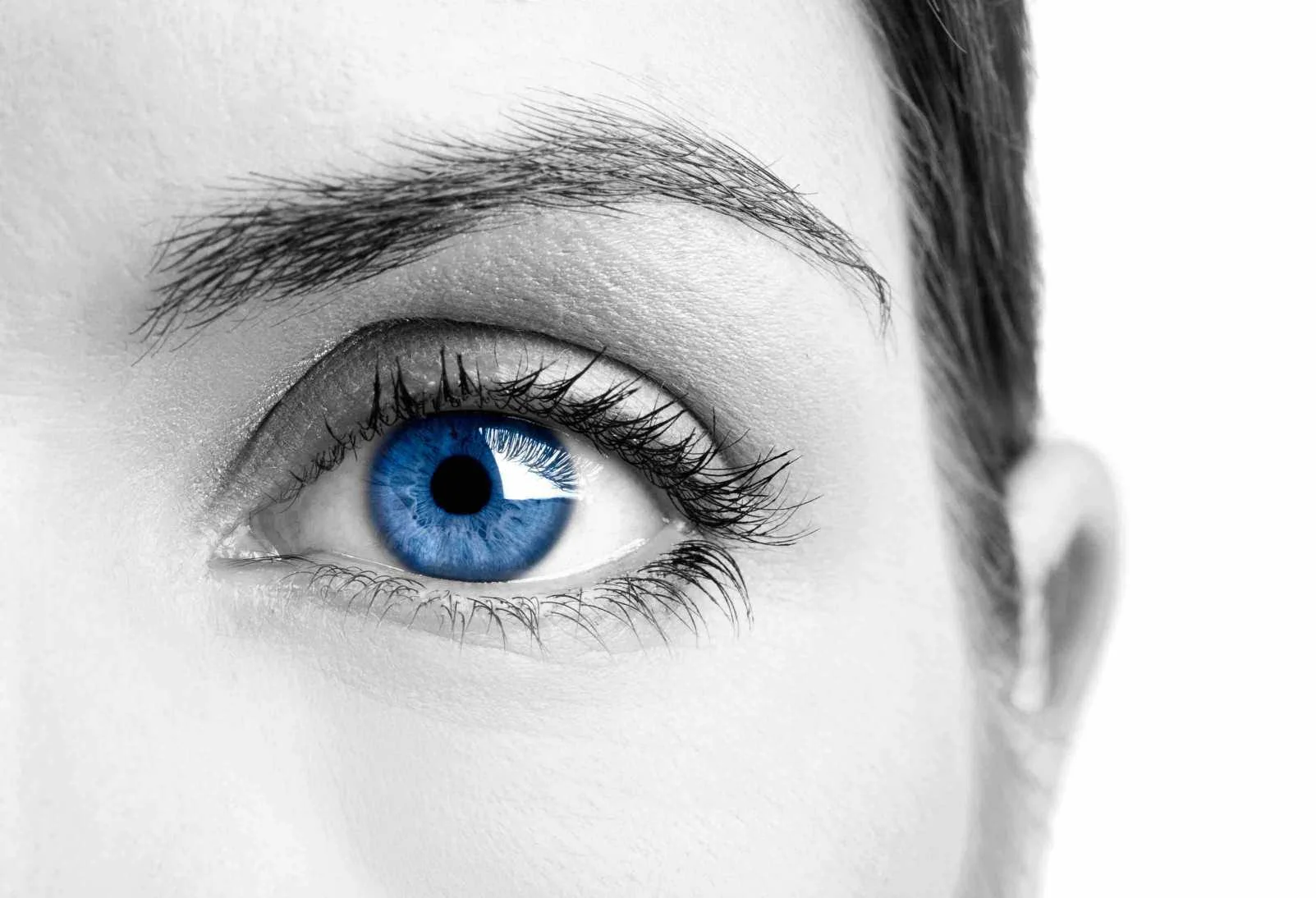 Eye_smallest.jpg