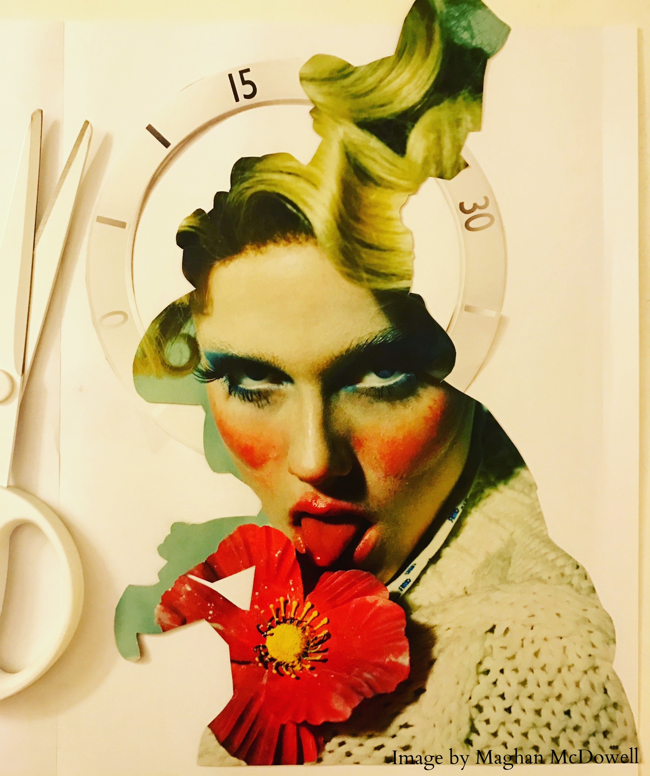 Image by Maghan McDowell