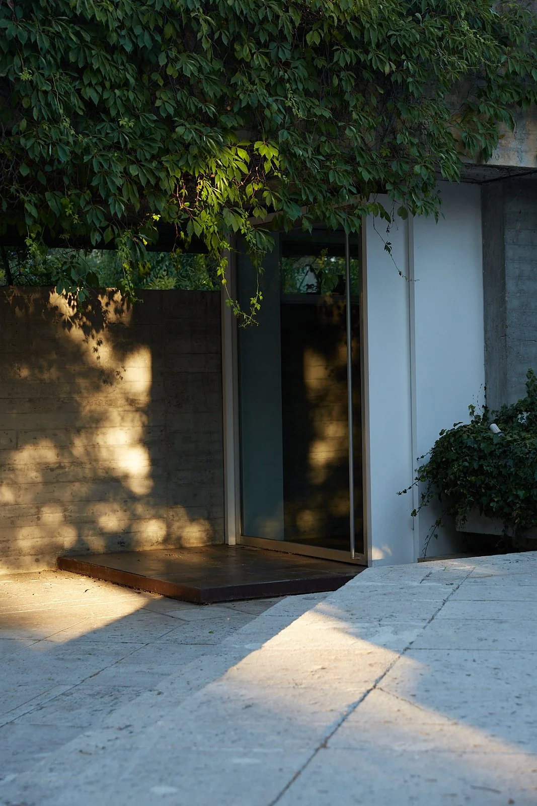 Casa Carvajal x Openhouse