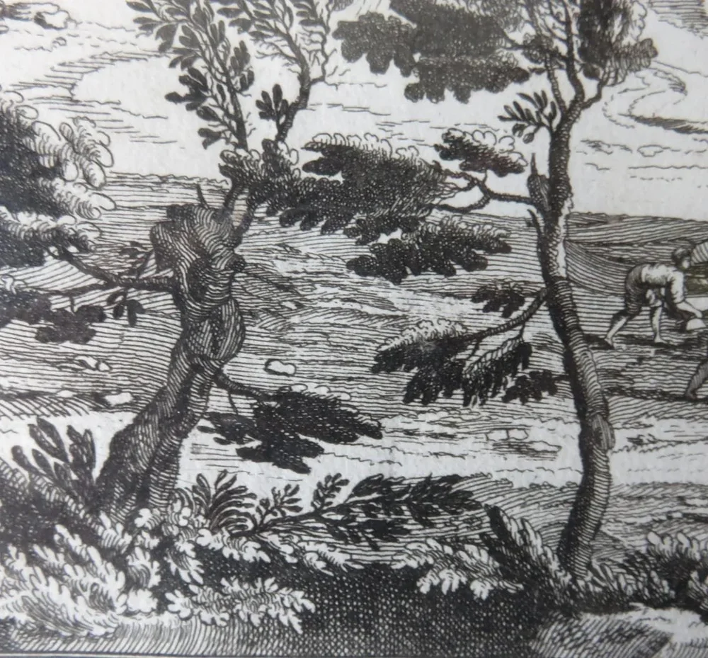 WhatsApp Image 2023-11-05 at 14.23.36.jpeg