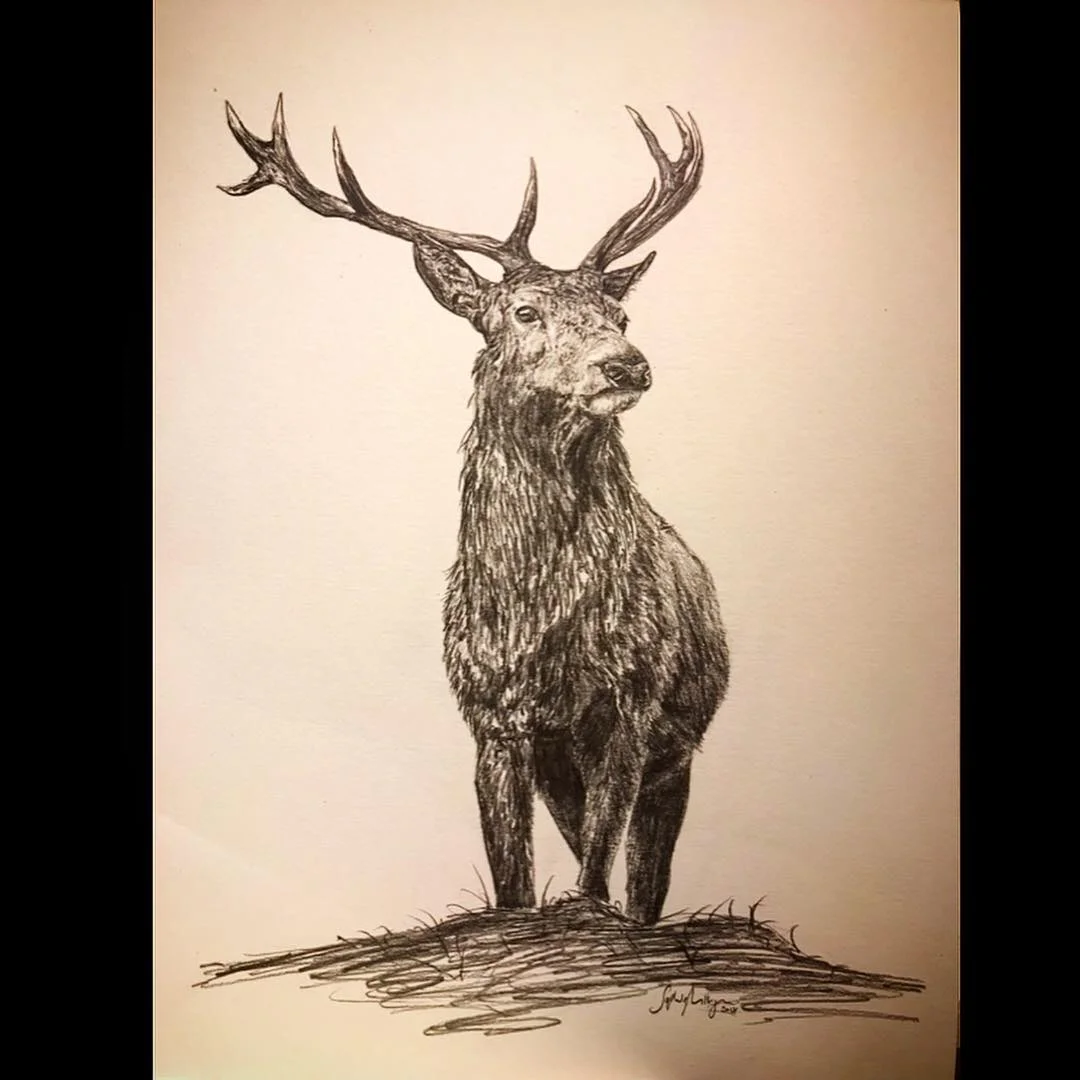 The King of the Hill