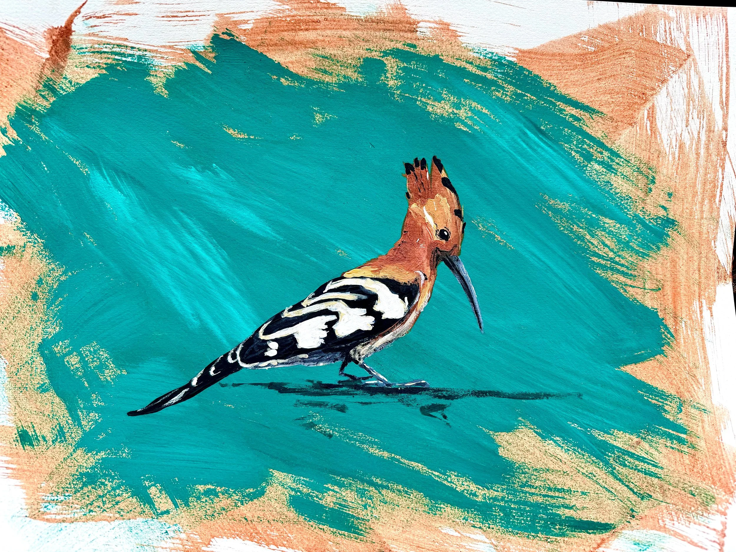 African Hoopoo - ART.jpg