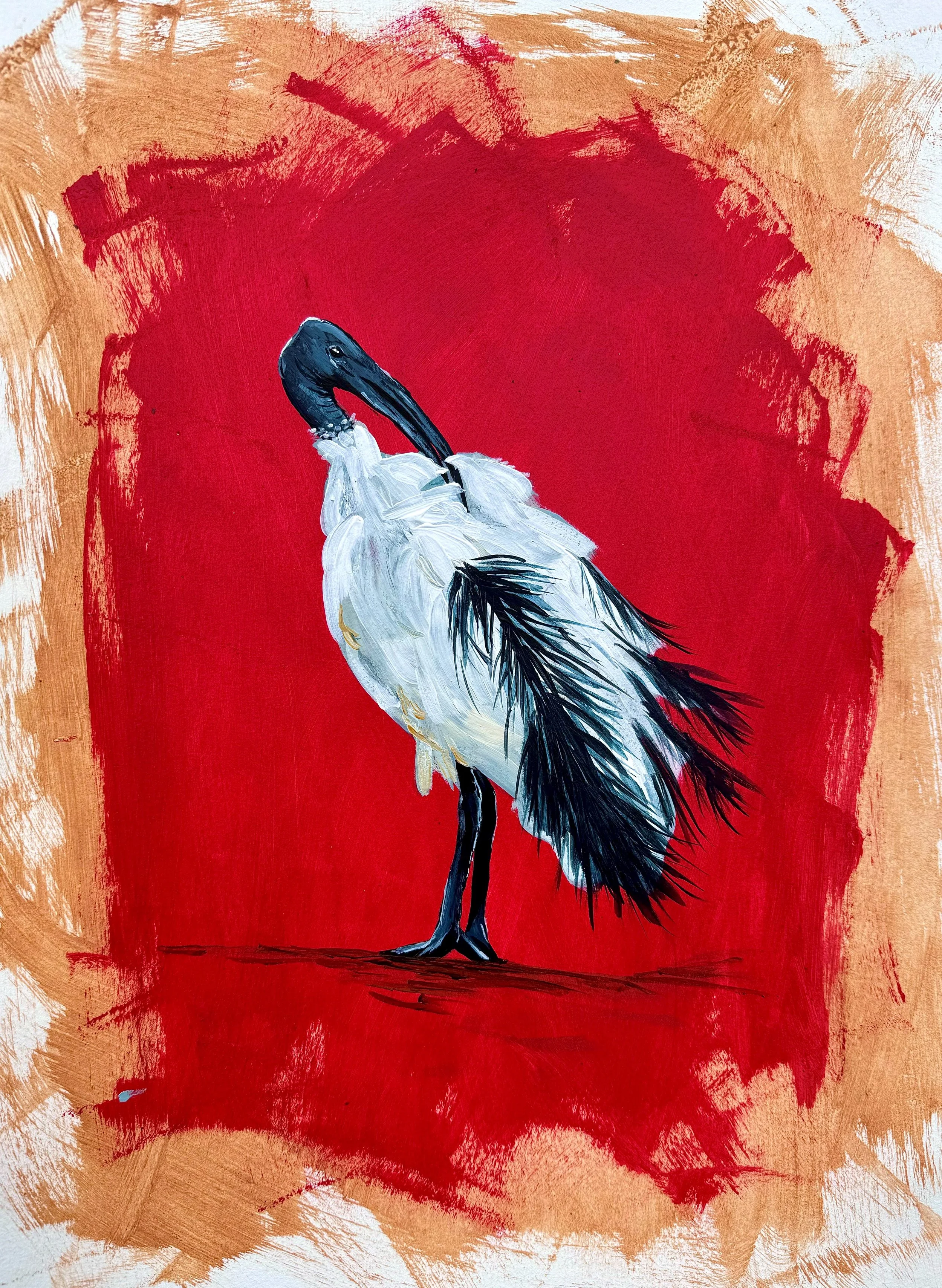 Sacred Ibis - ART.jpg