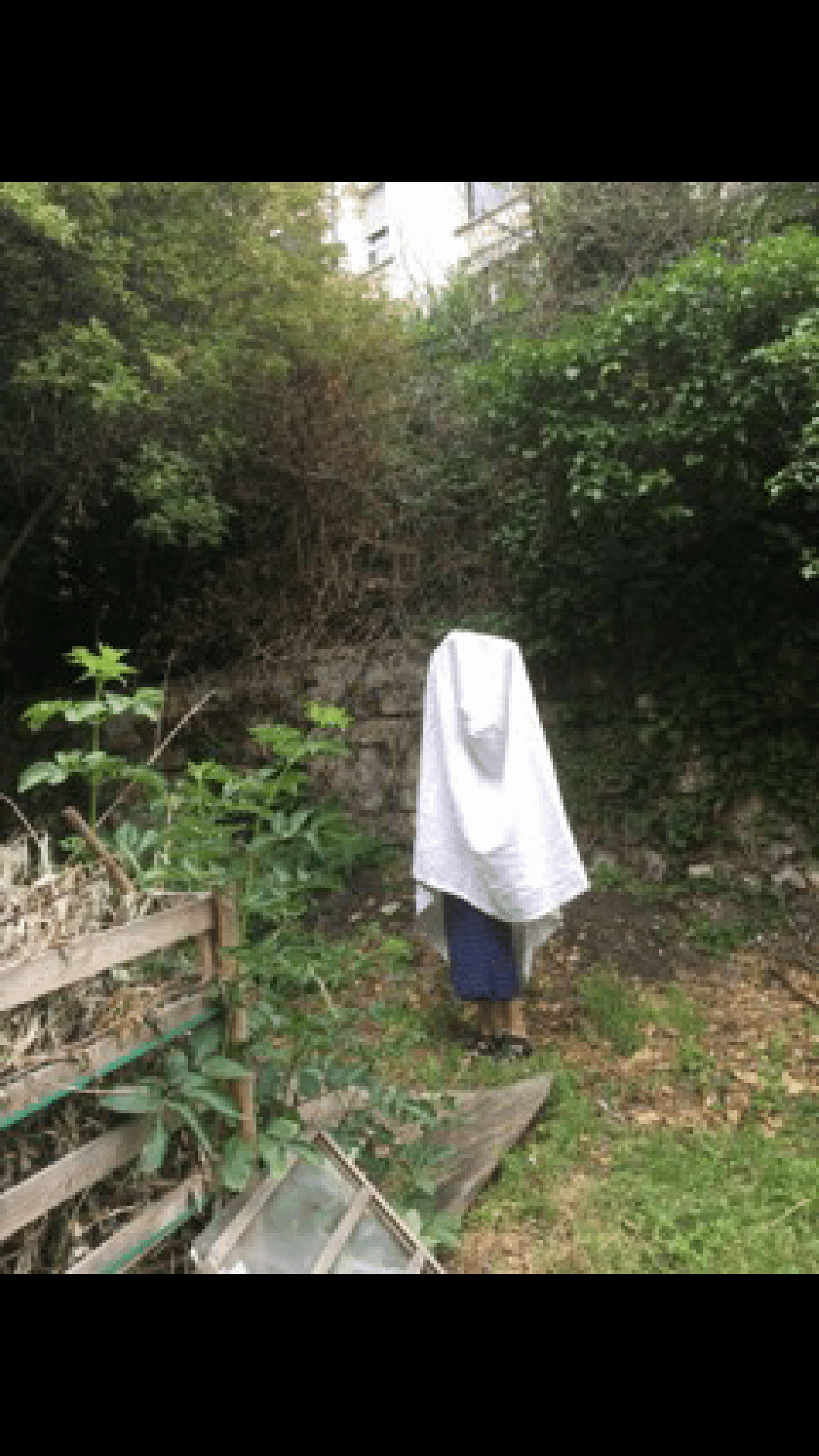 20190627_143152.gif