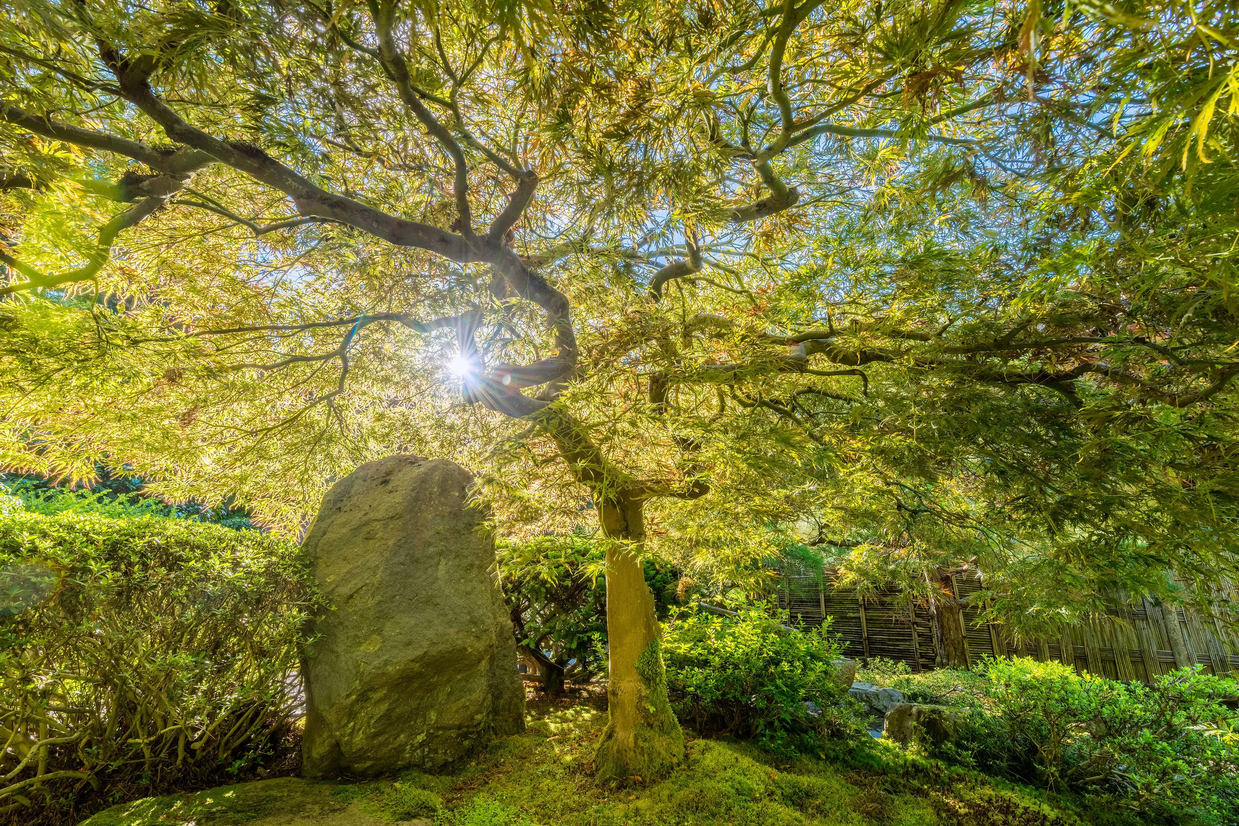 DSC_1389-HDR-Edit.jpg