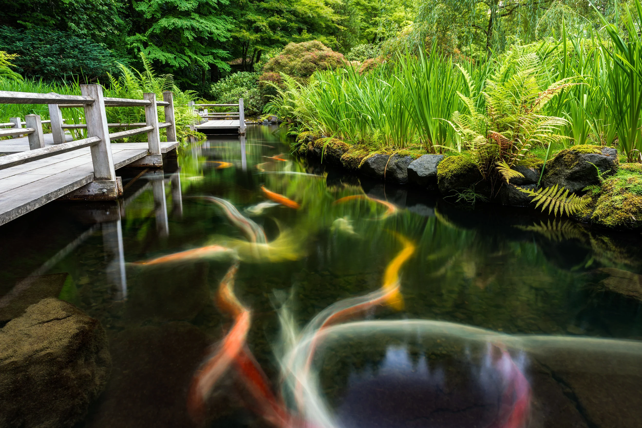 DSC_1416-Edit.jpg
