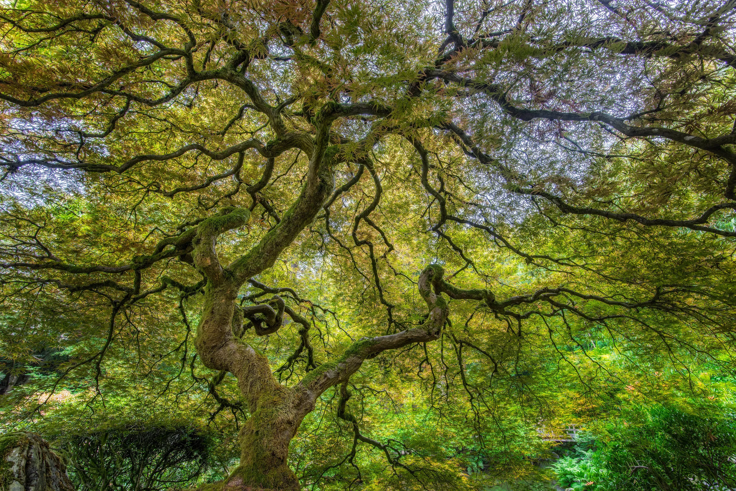 DSC_1365-HDR-Edit-Edit-Edit.jpg
