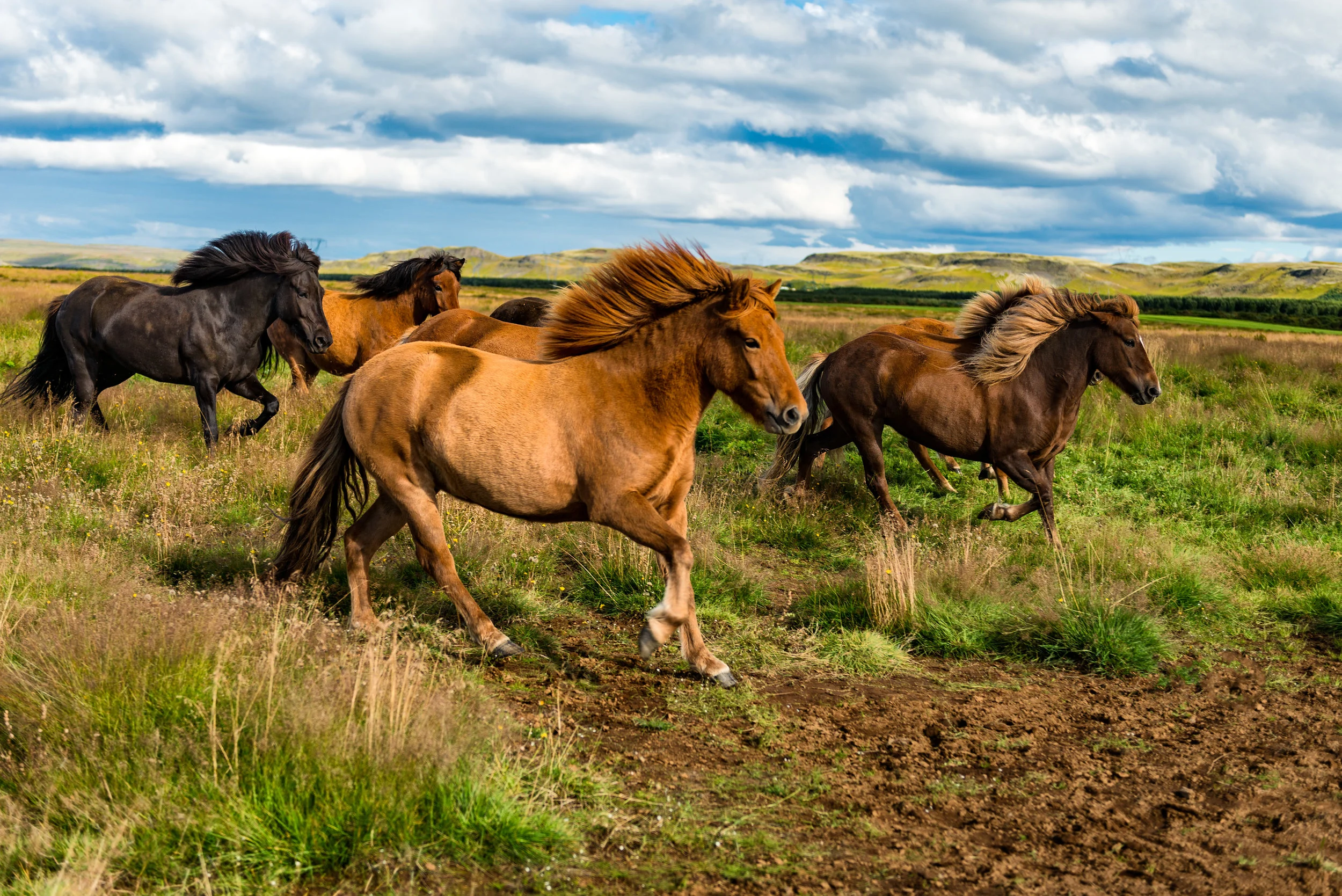 DSC_2070-Edit.jpg