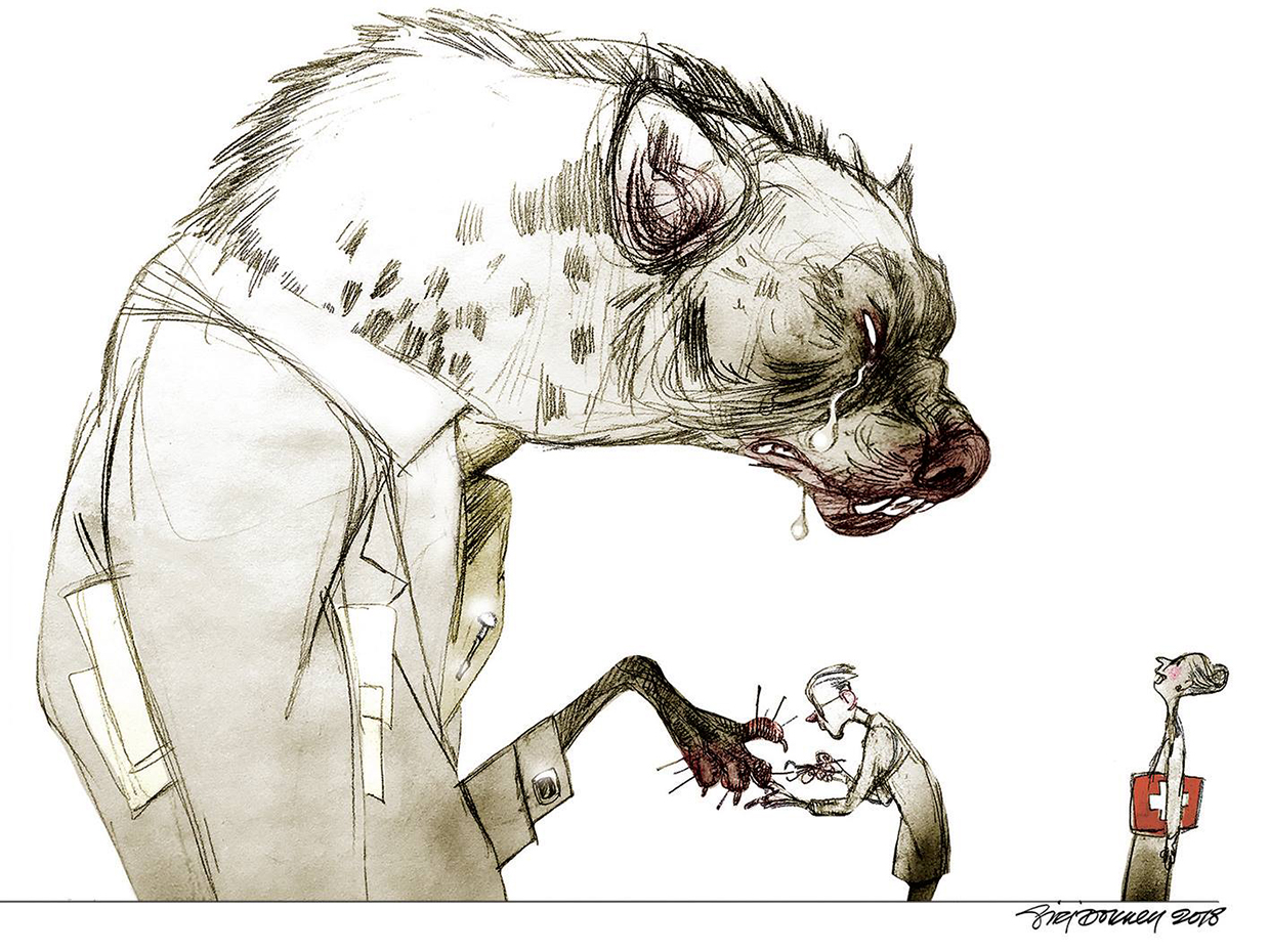 Finance hyena, 2018