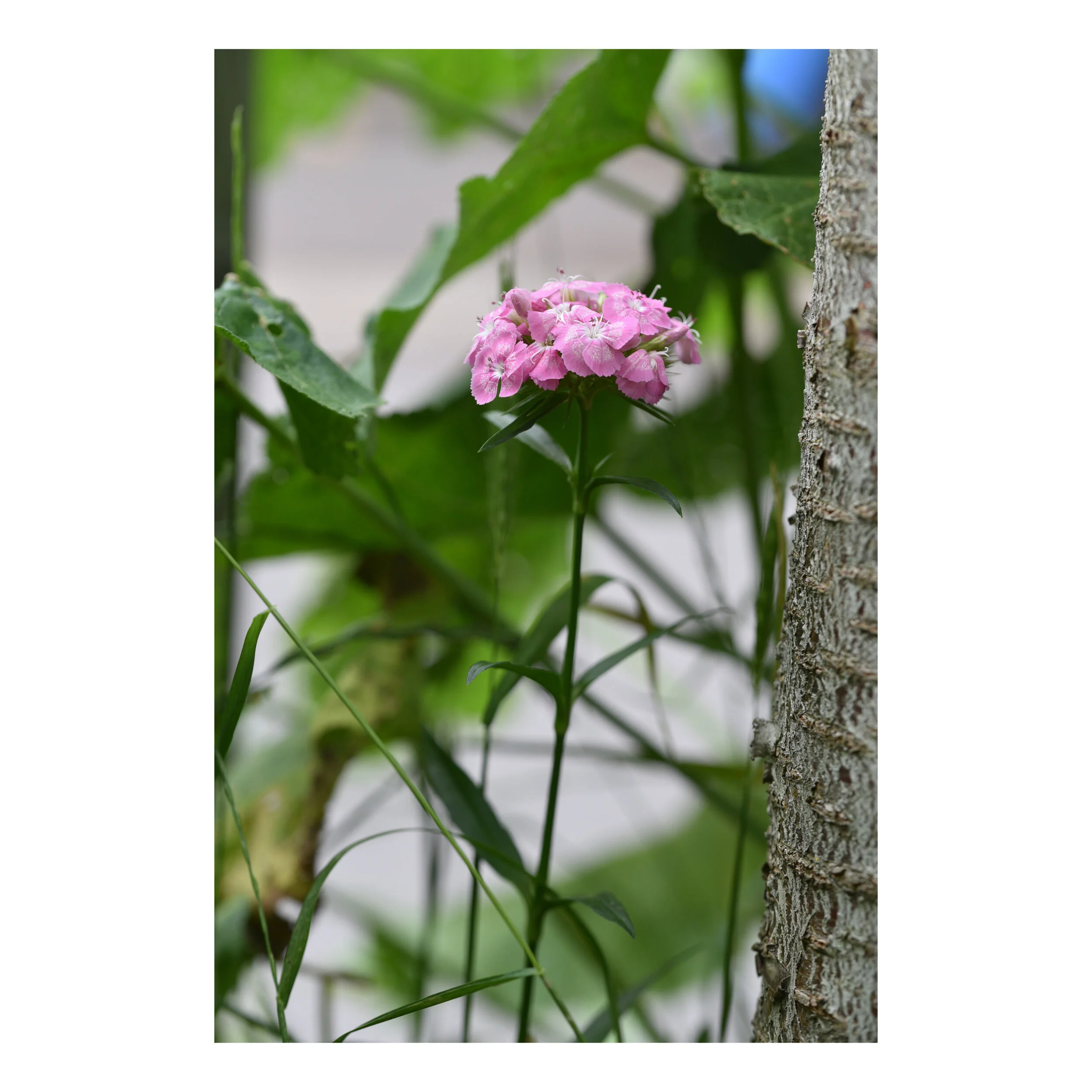 Whitagram-Image 6.JPG