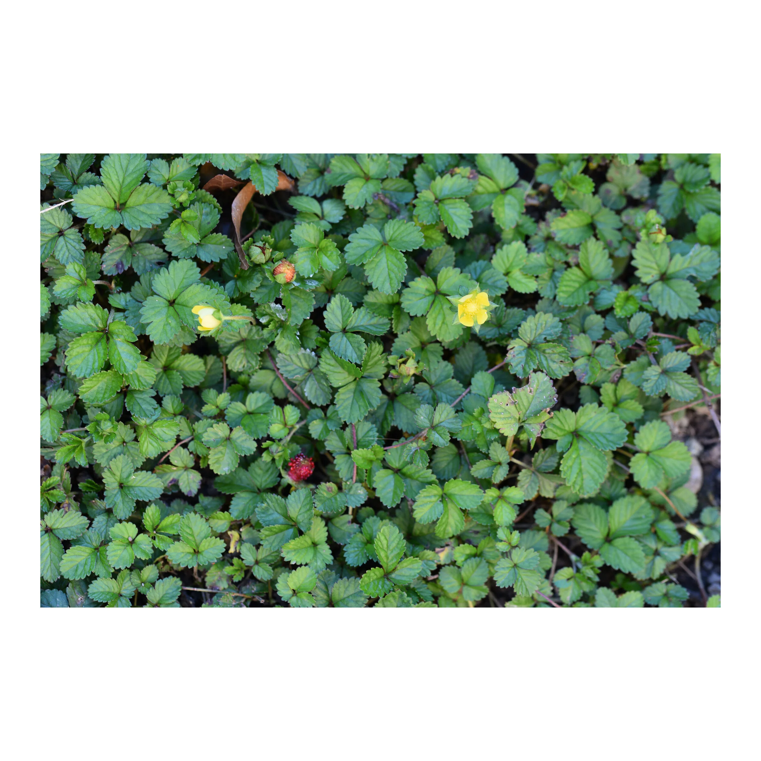 Whitagram-Image 5.JPG