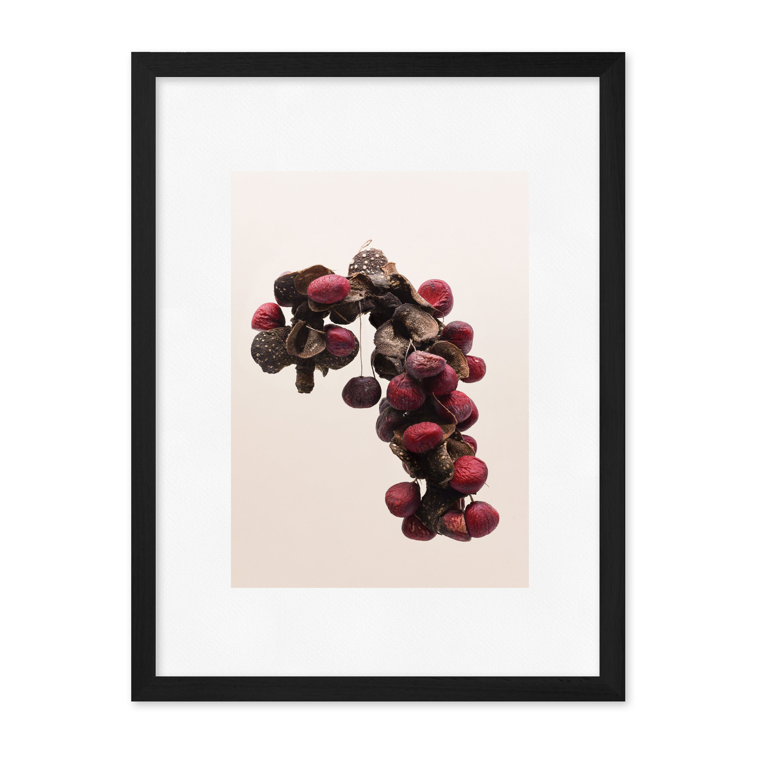 magnolia1_rahmen_schwarz.jpg