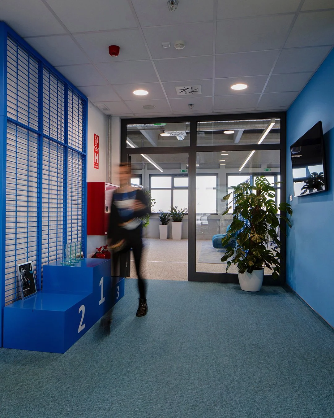 decathlon studio c11 -9.jpg