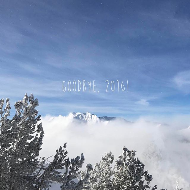 2016 was a year of wild change - recap of the past twelve months up on the blog.
.
.
.
#willowjournal #2016 #2017 #happynewyear #newhouse #newbaby #newyear #motherhood