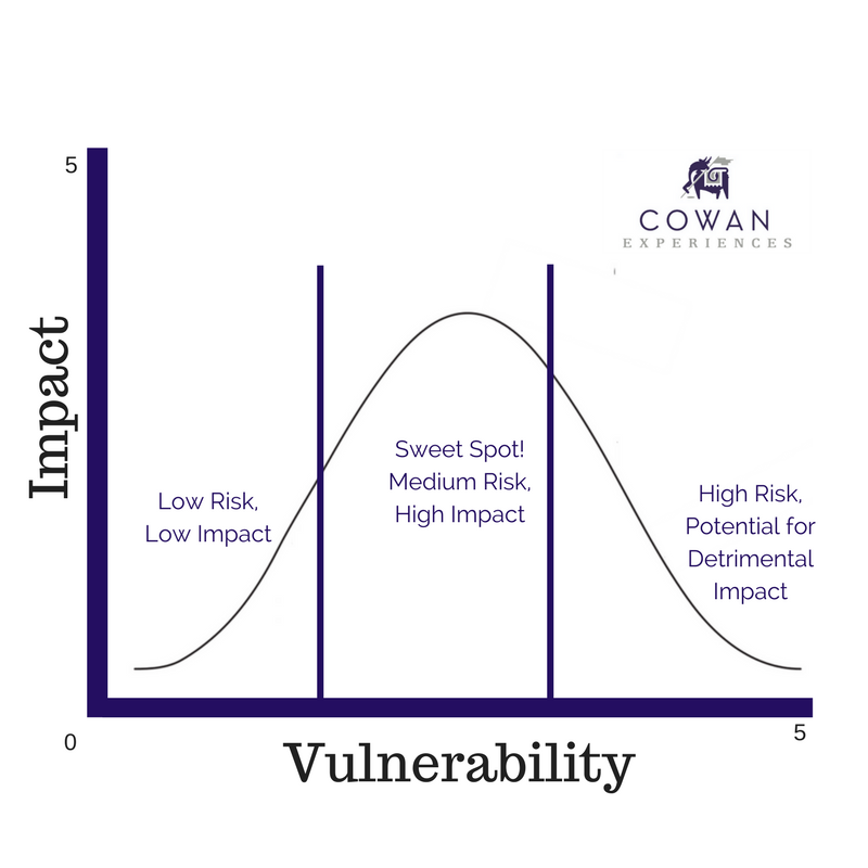 Vulnerability Scale 2 (1).png