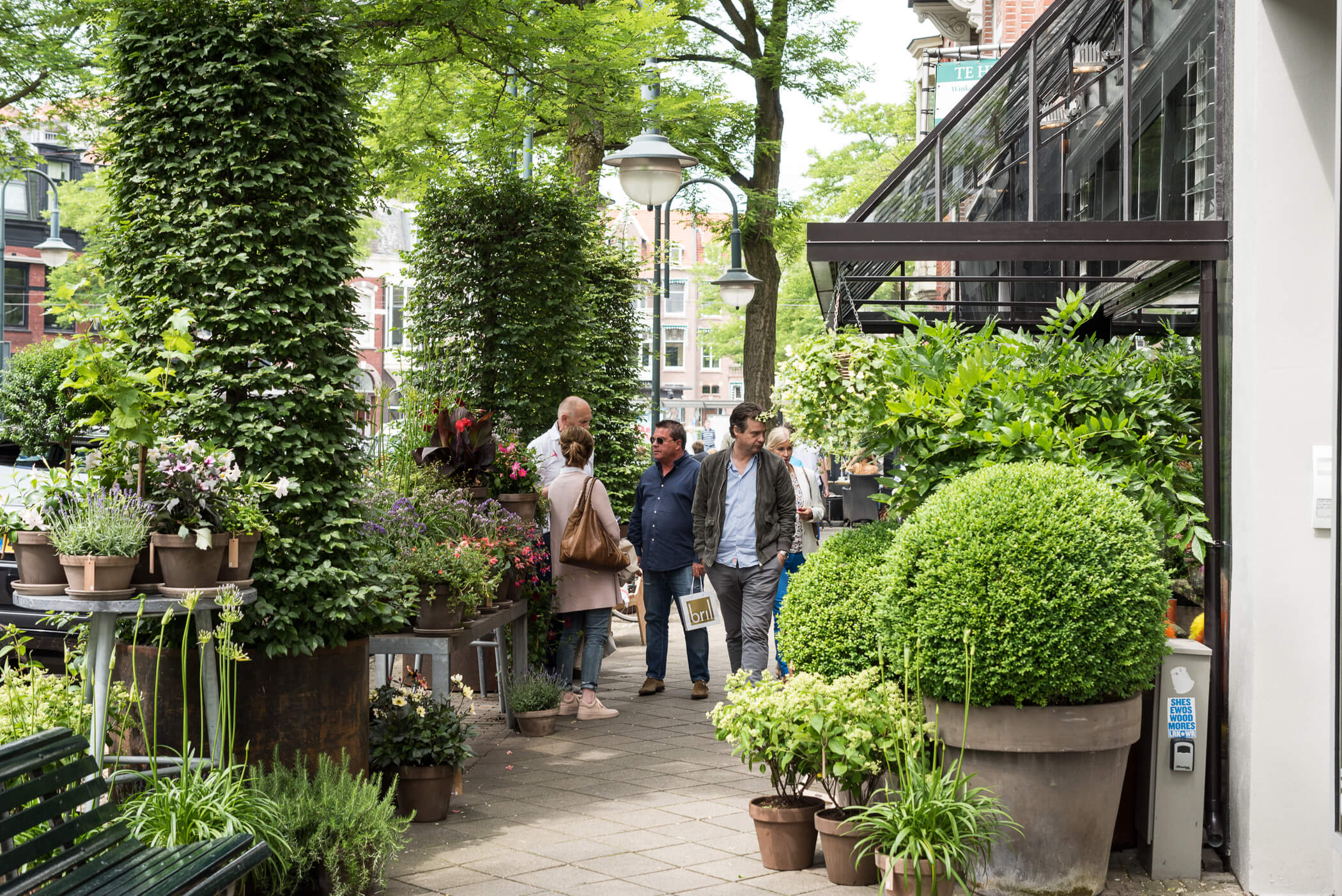 French Connection — Cornelis Schuytstraat