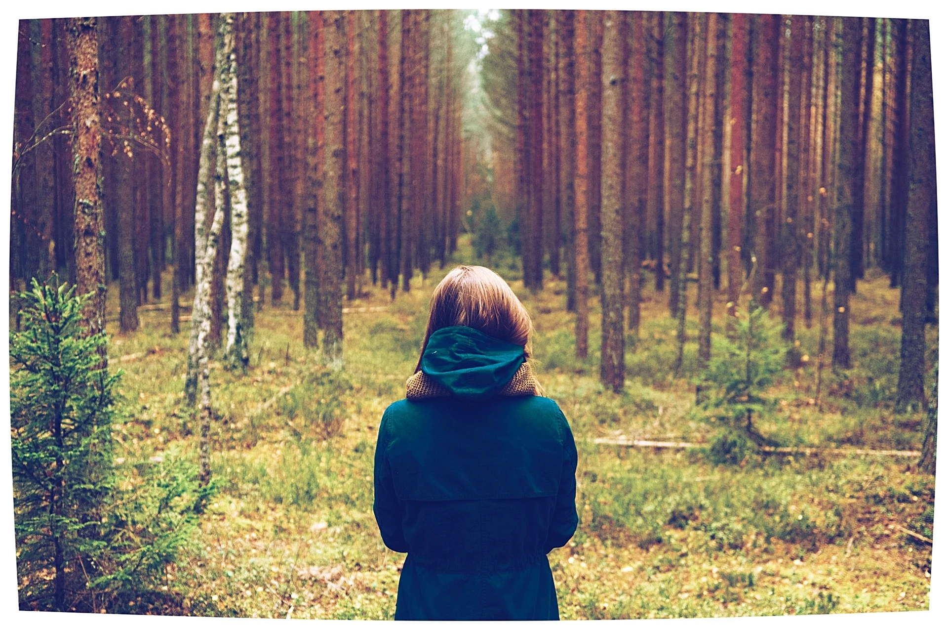Thinking about Career Change? Your 3-Key Question Process for deeper, wiser guidance