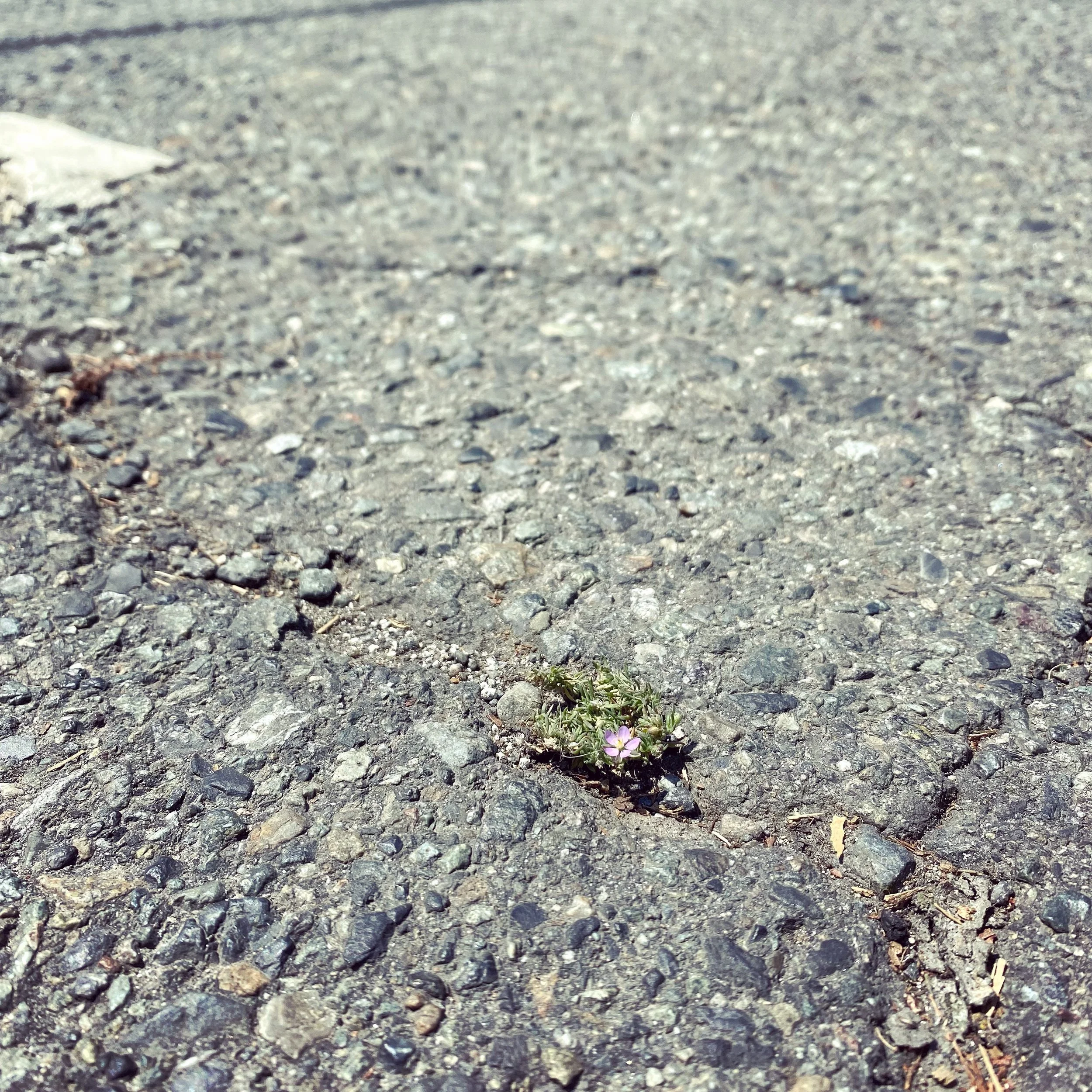 The hard part and beyond