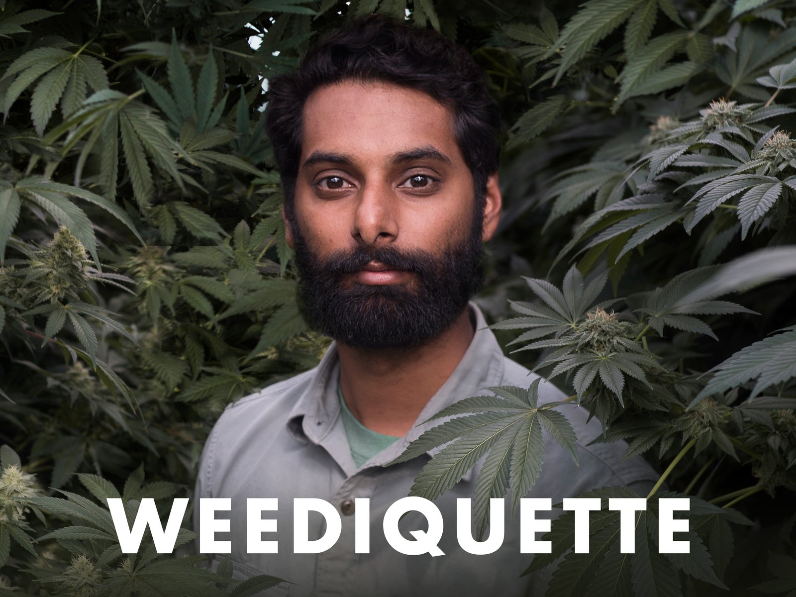 Weediquette S02E02 Gridiron Ganja 720p