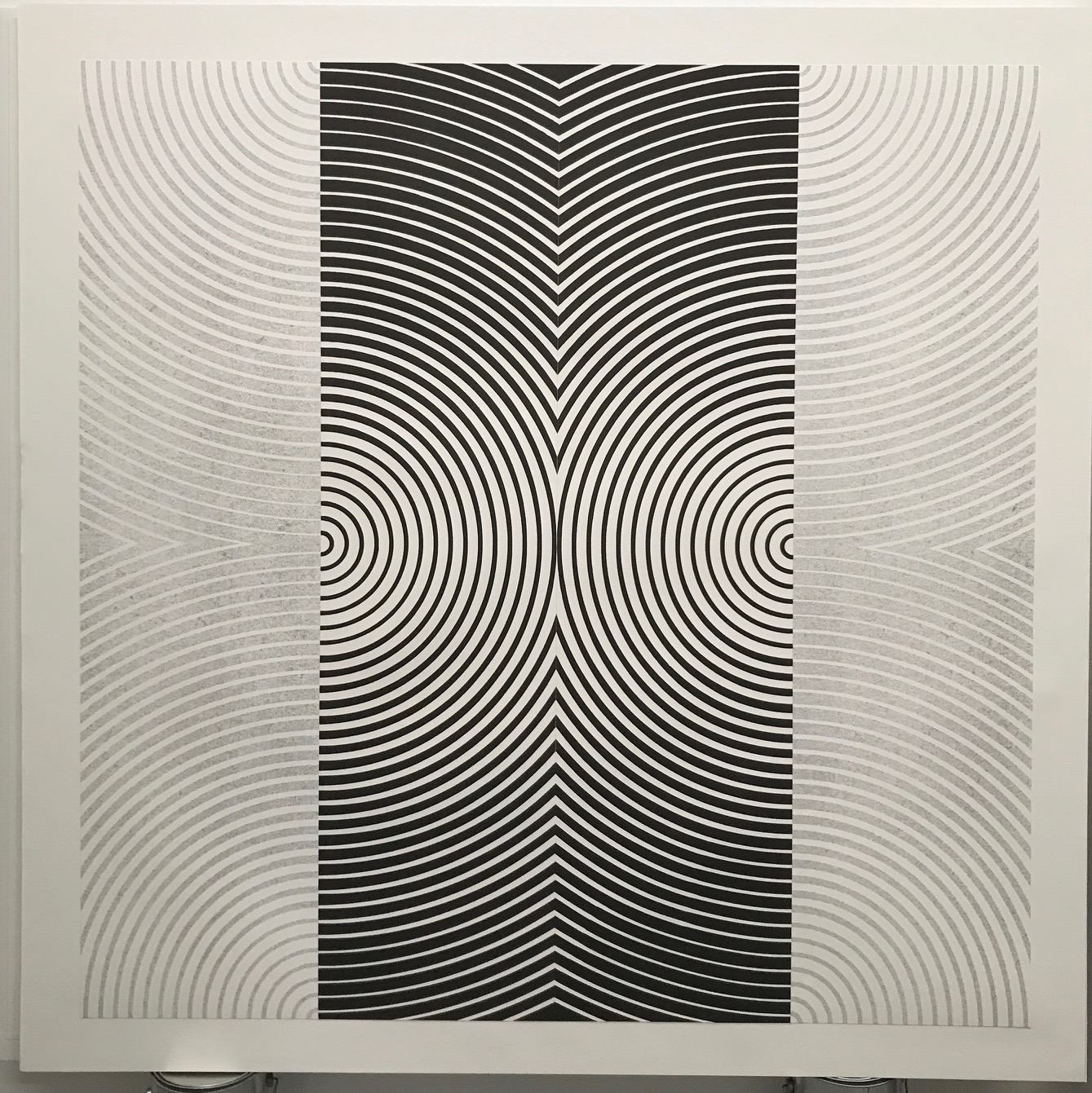 B Polarity