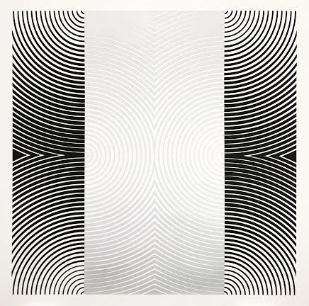 B Polarity