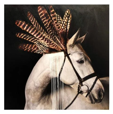 Horse Feathers 1