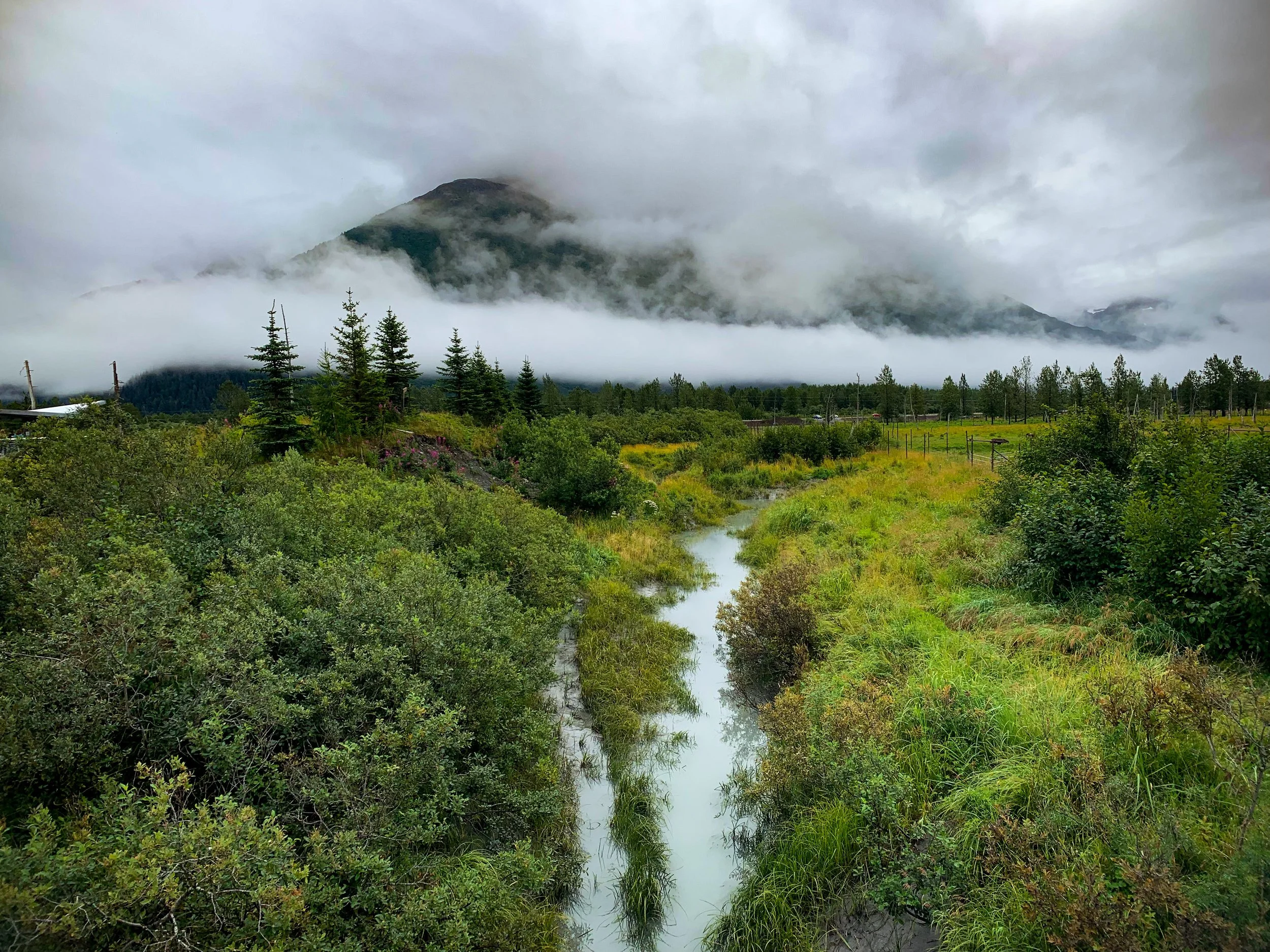 FBEDE35D-A765-4728-B28C-CFD70C6C29CA 2.JPEG