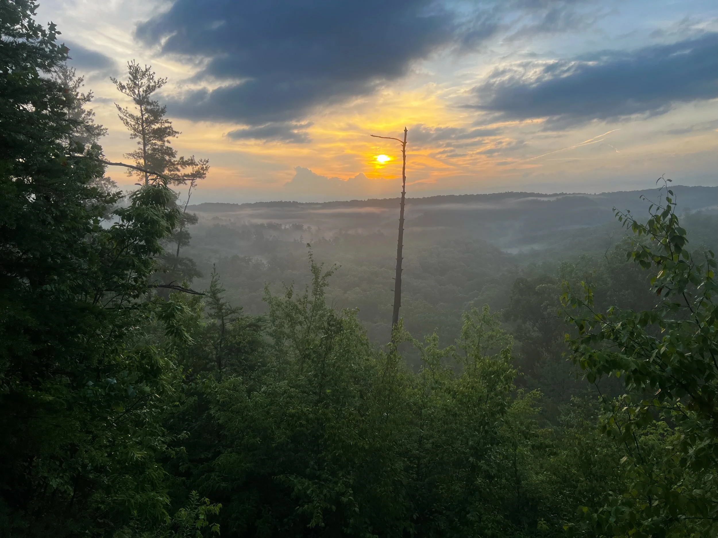 Red River Gorge Backpacking Workshop