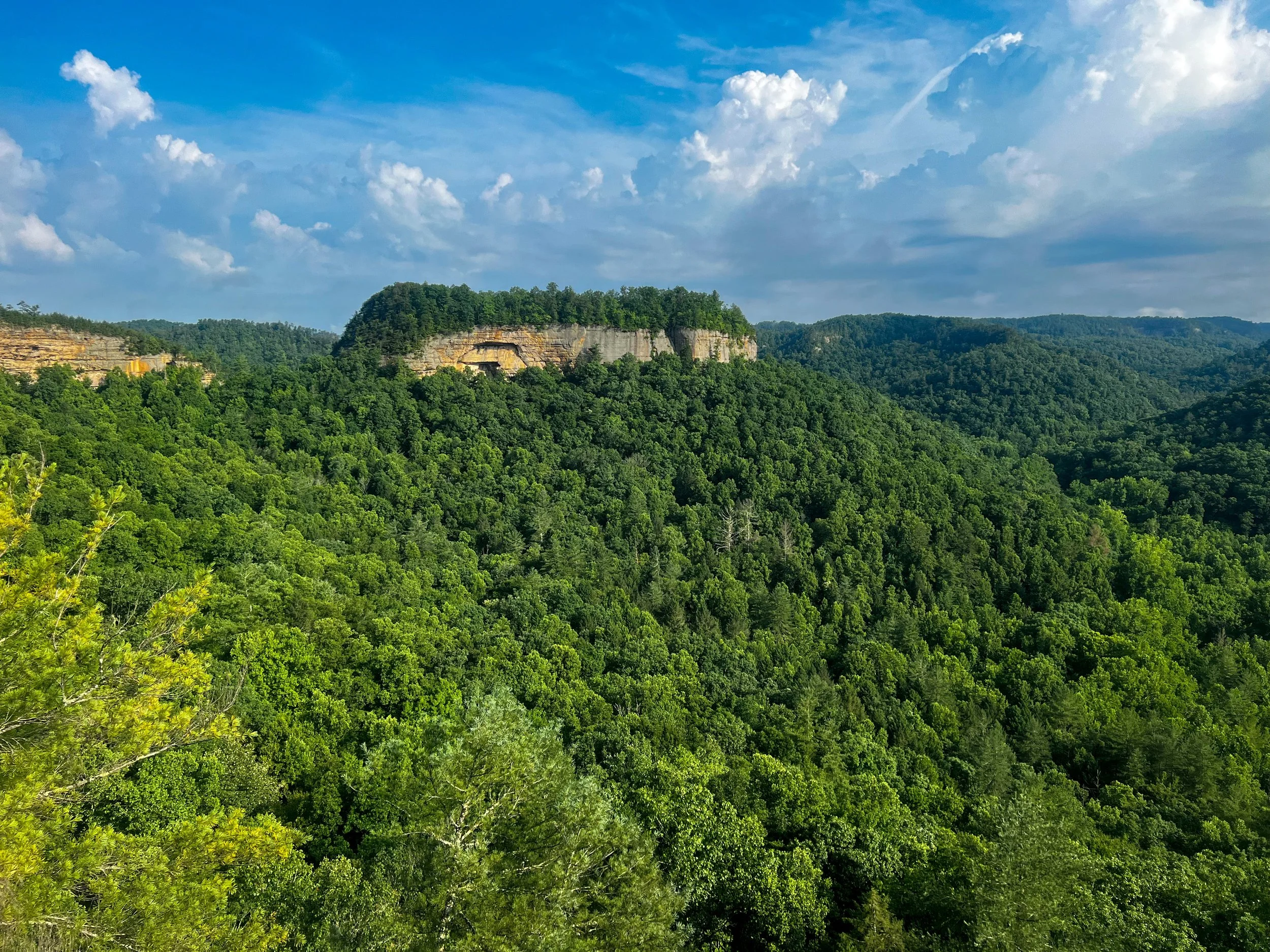 Red River Gorge Backpacking Workshop