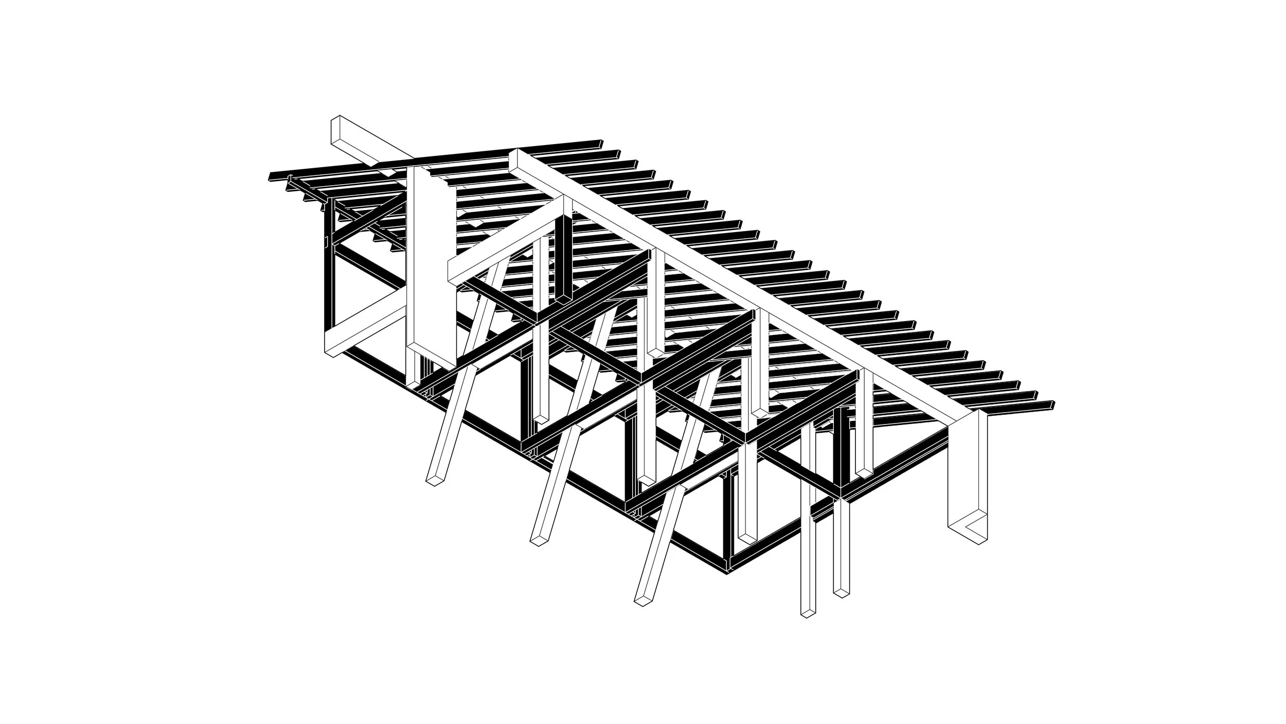 Casas Chinchero_Isometria Estructura BN-04.jpg