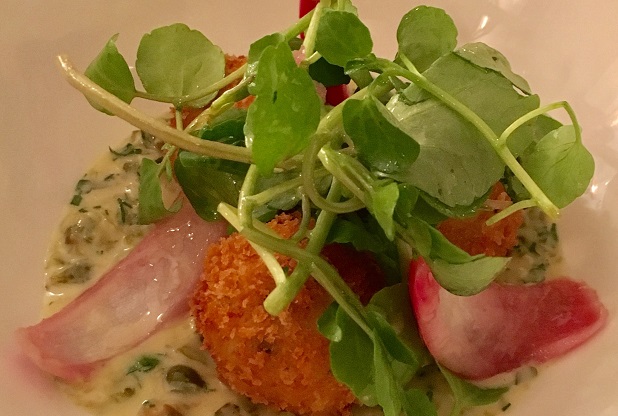 Mark's fishcake starter